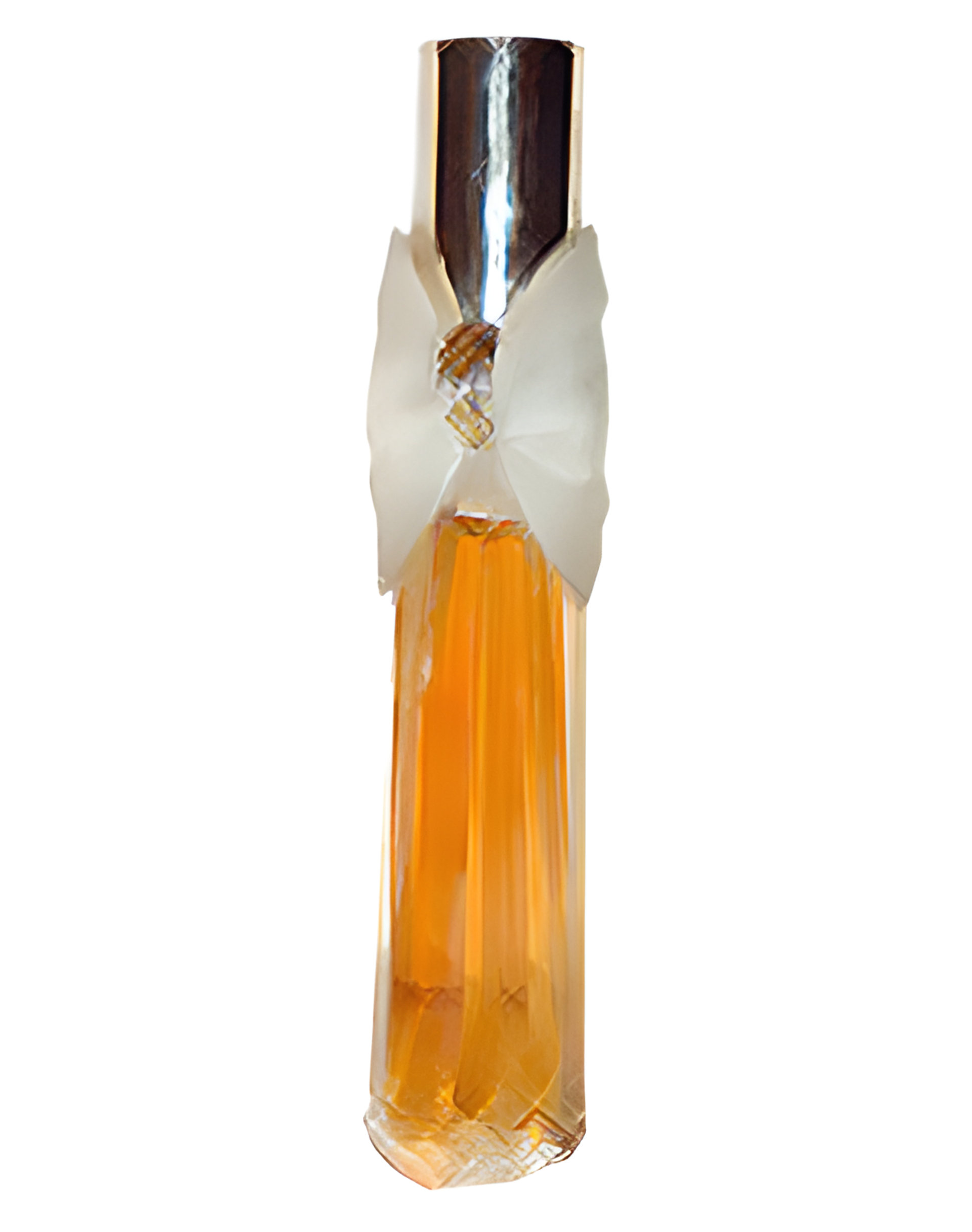 Picture of Evermore fragrance