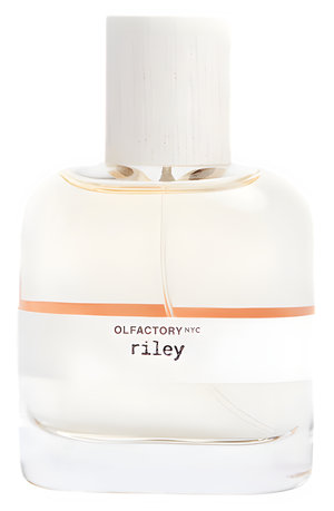 Riley by Olfactory NYC perfume bottle