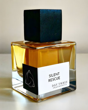 Silent Rescue by Day Three perfume bottle