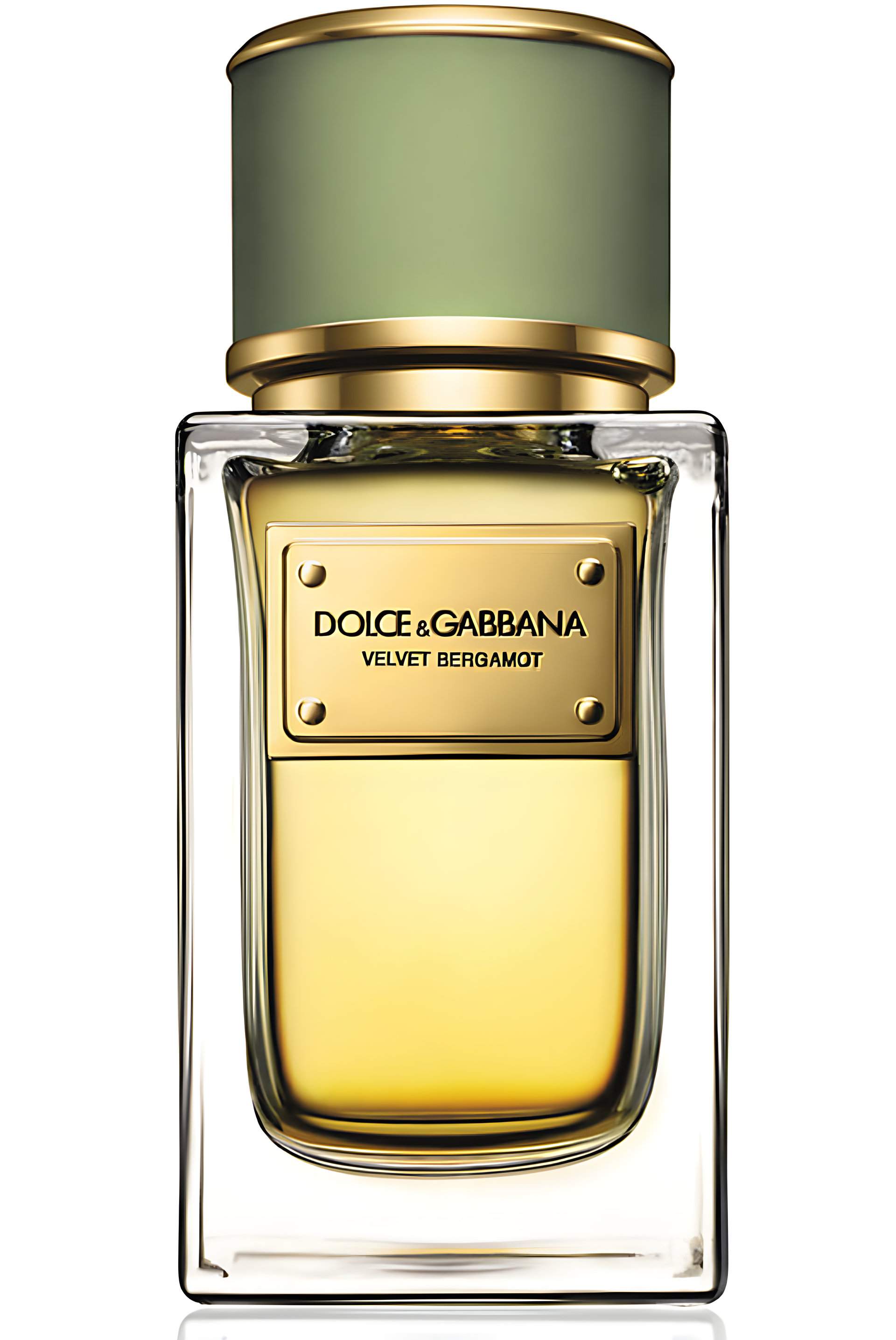 Velvet Bergamot by Dolce&Gabbana