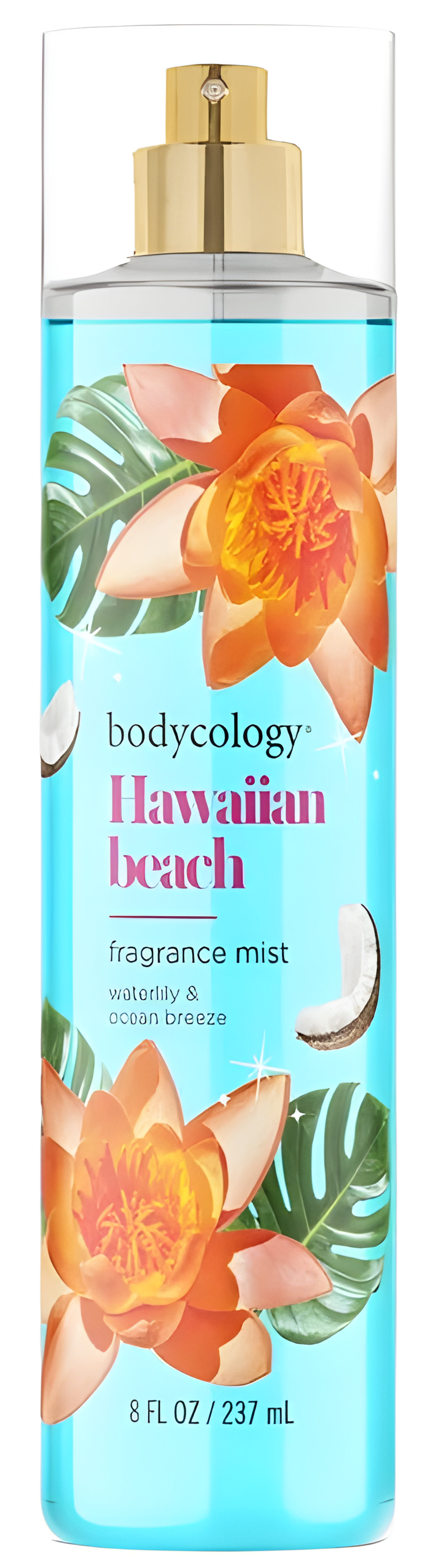 Picture of Hawaiian Beach fragrance