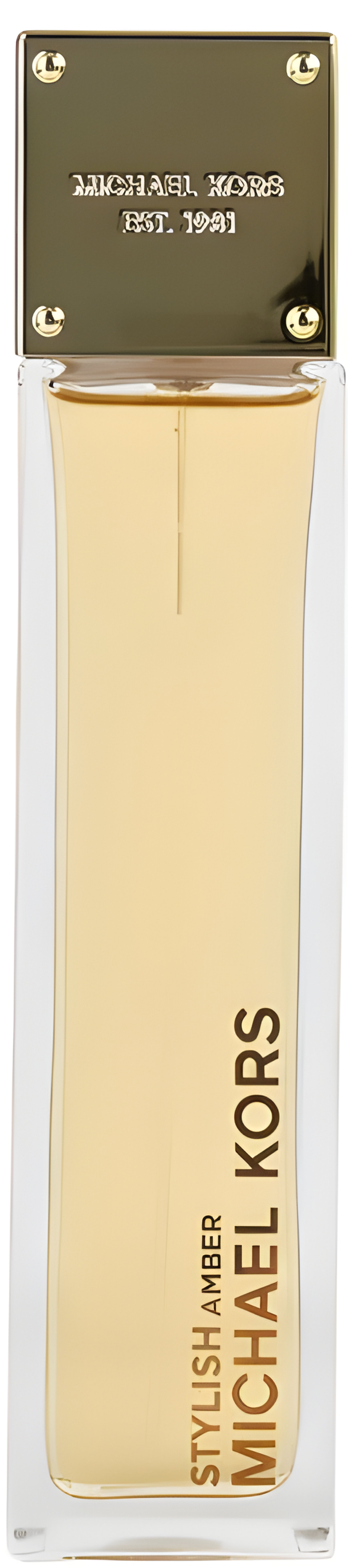 Picture of Stylish Amber fragrance