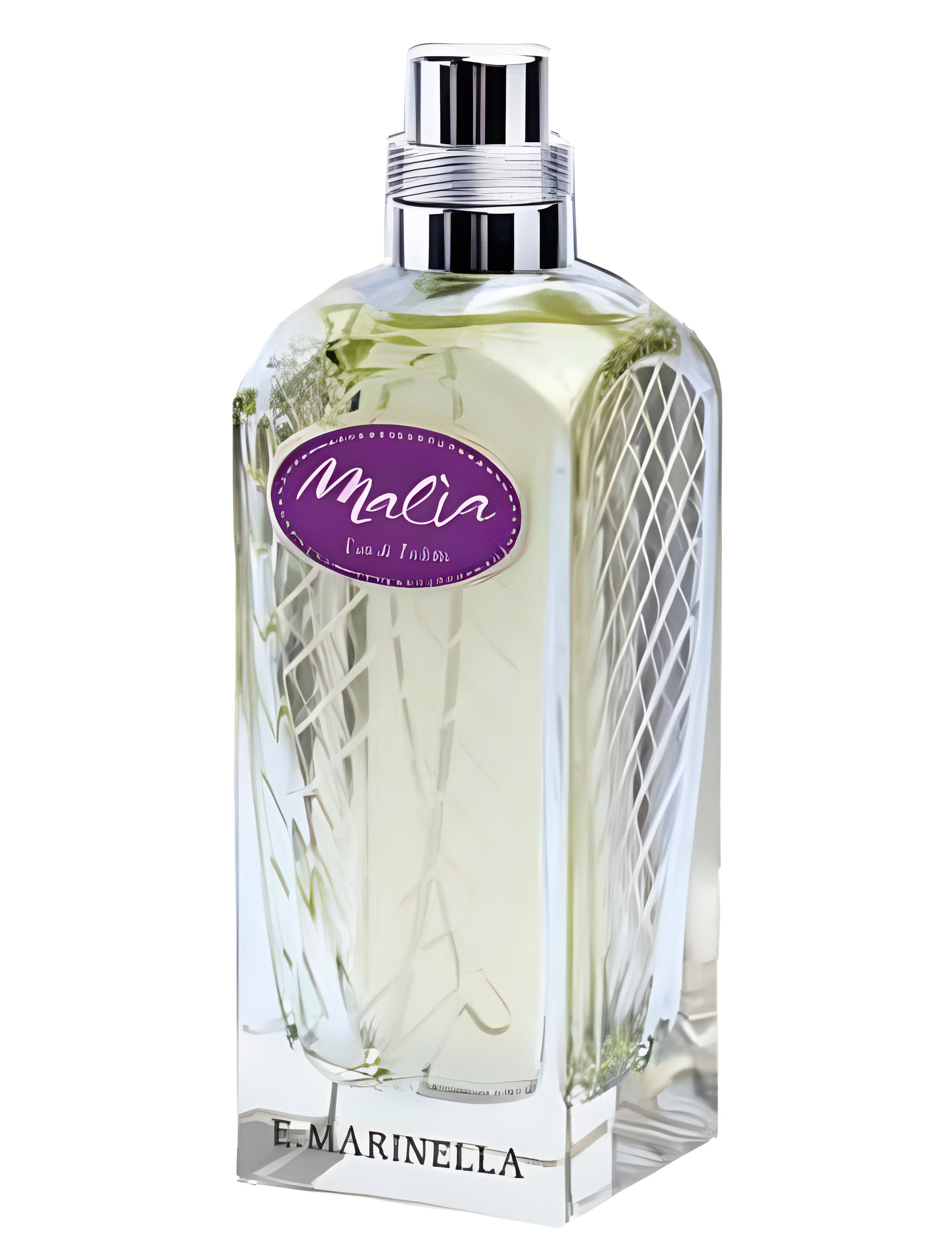 Picture of Malia fragrance