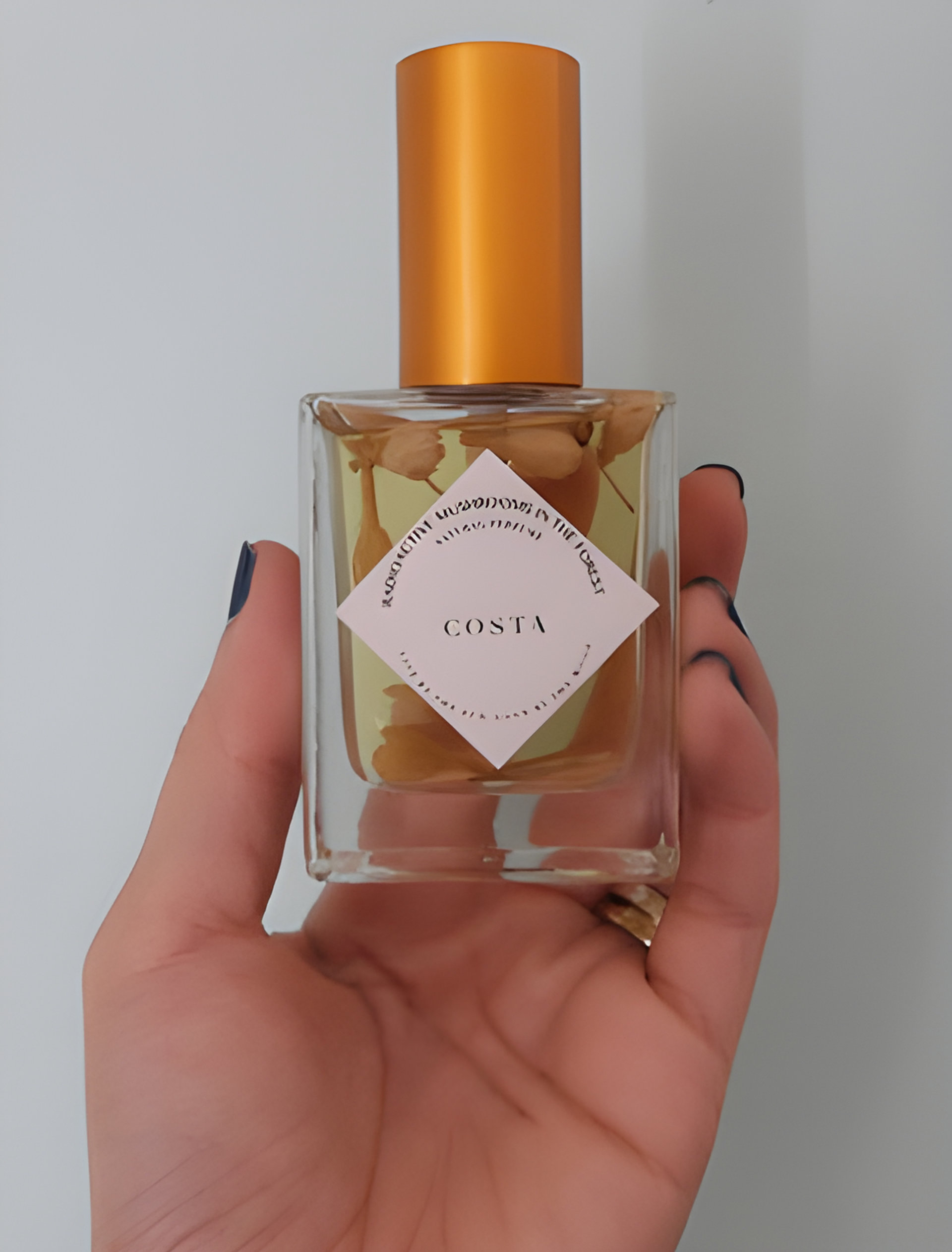 Picture of Costa fragrance