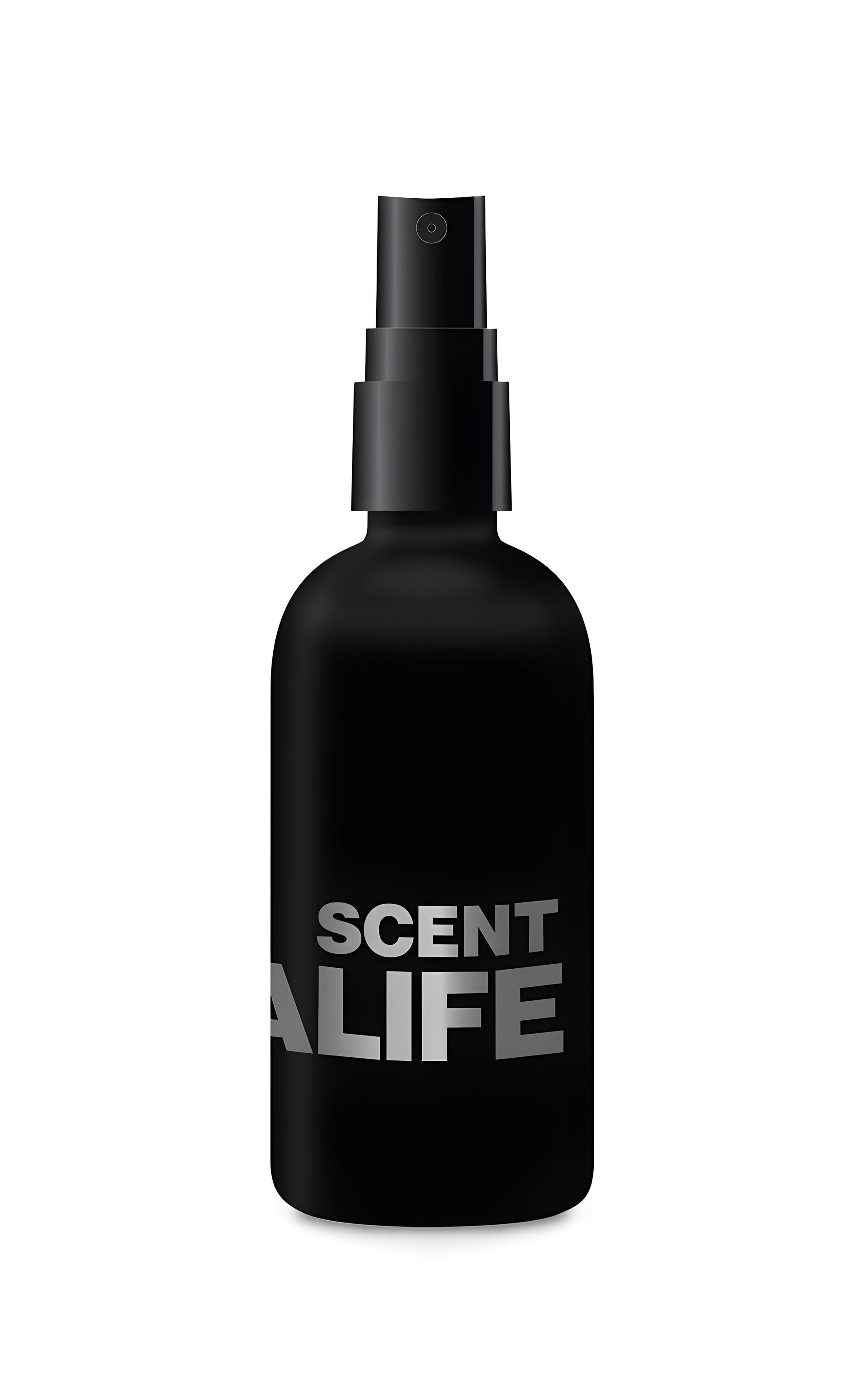 Picture of SCENT fragrance
