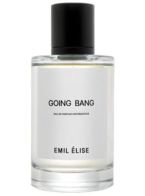 Going Bang by Emil Elise perfume bottle