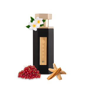 Reef 11 by Reef Perfumes perfume bottle