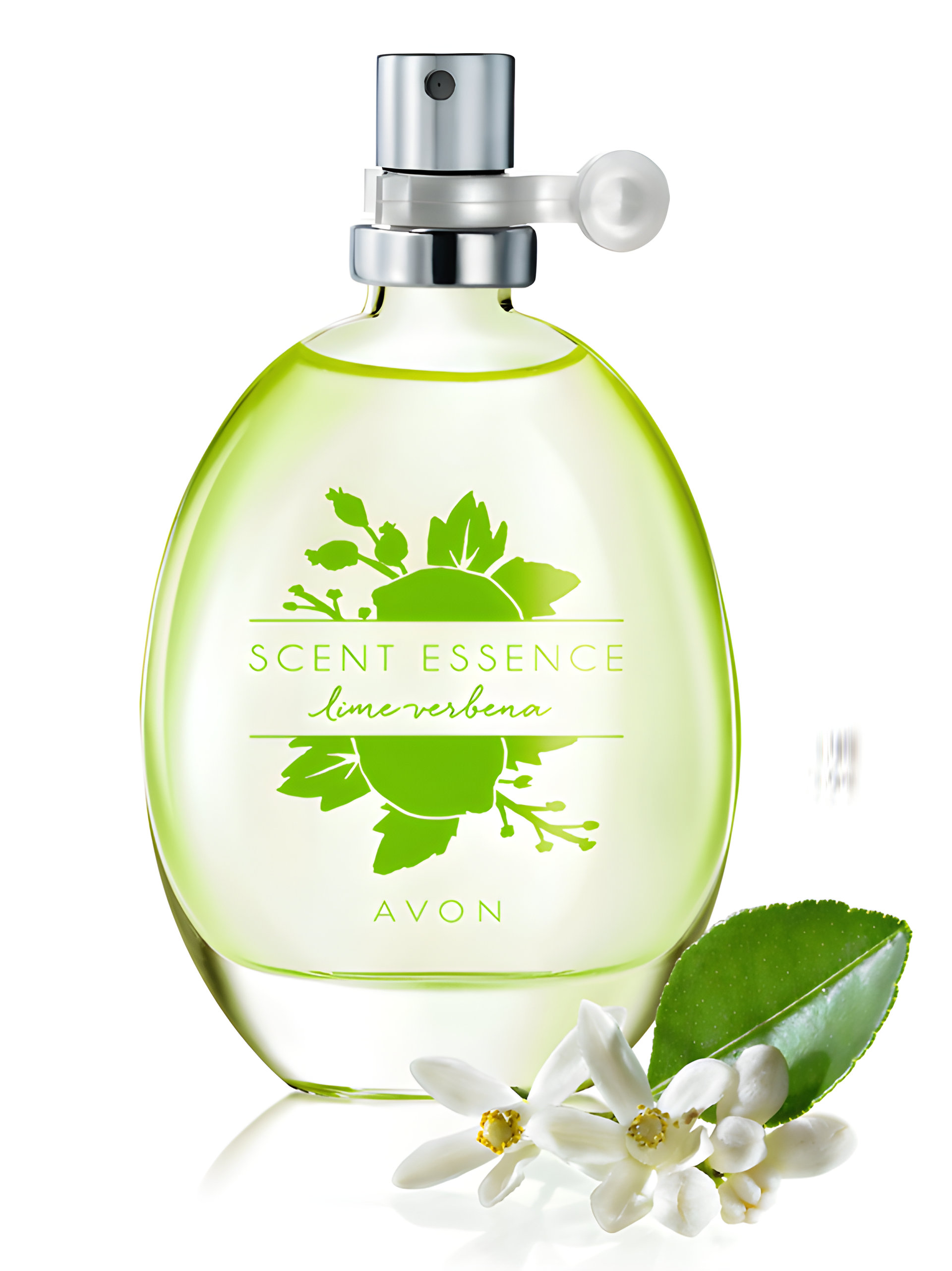 Picture of Scent Essence - Lime Verbena​ fragrance