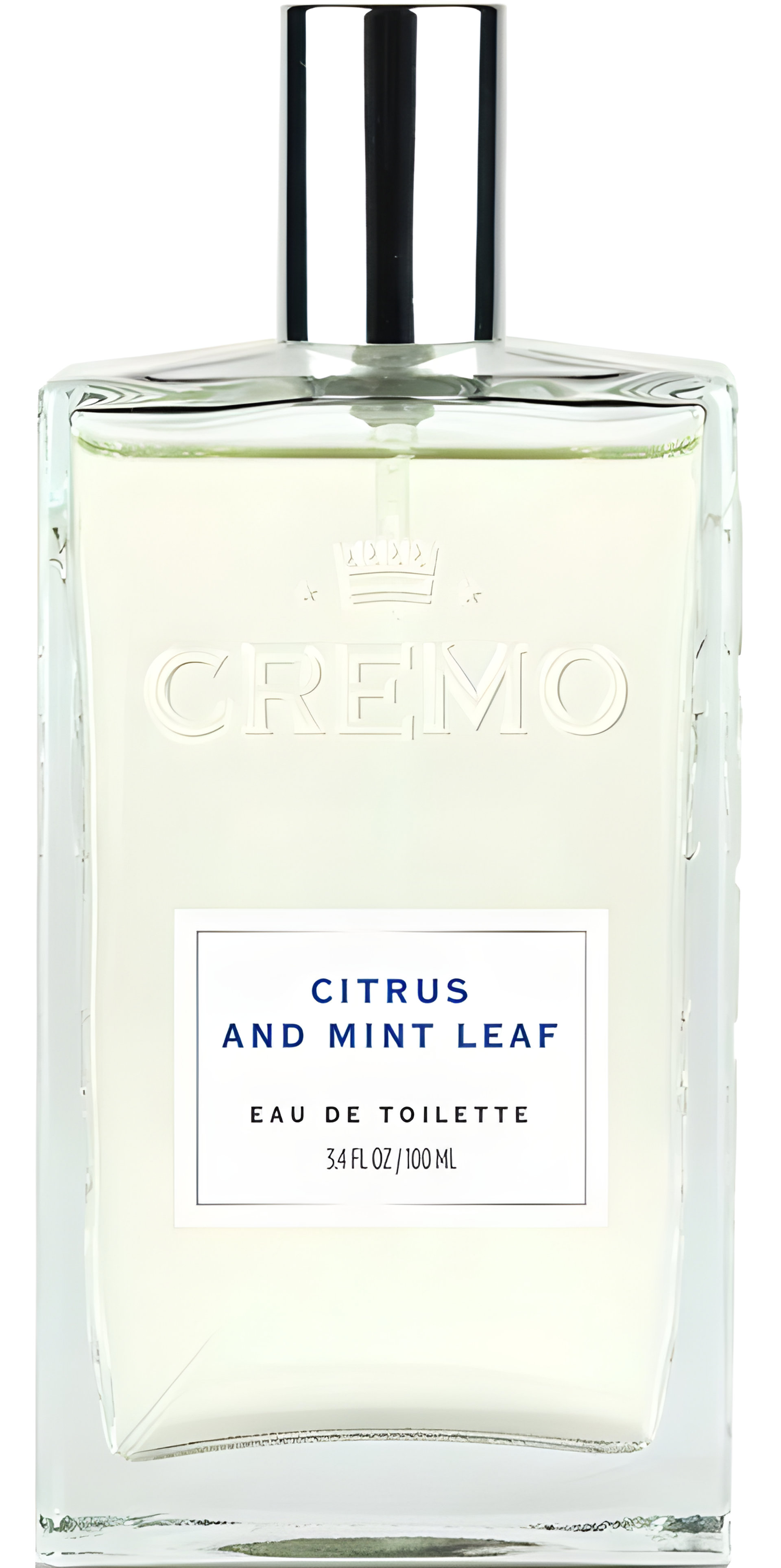 Picture of Citrus and Mint Leaf fragrance