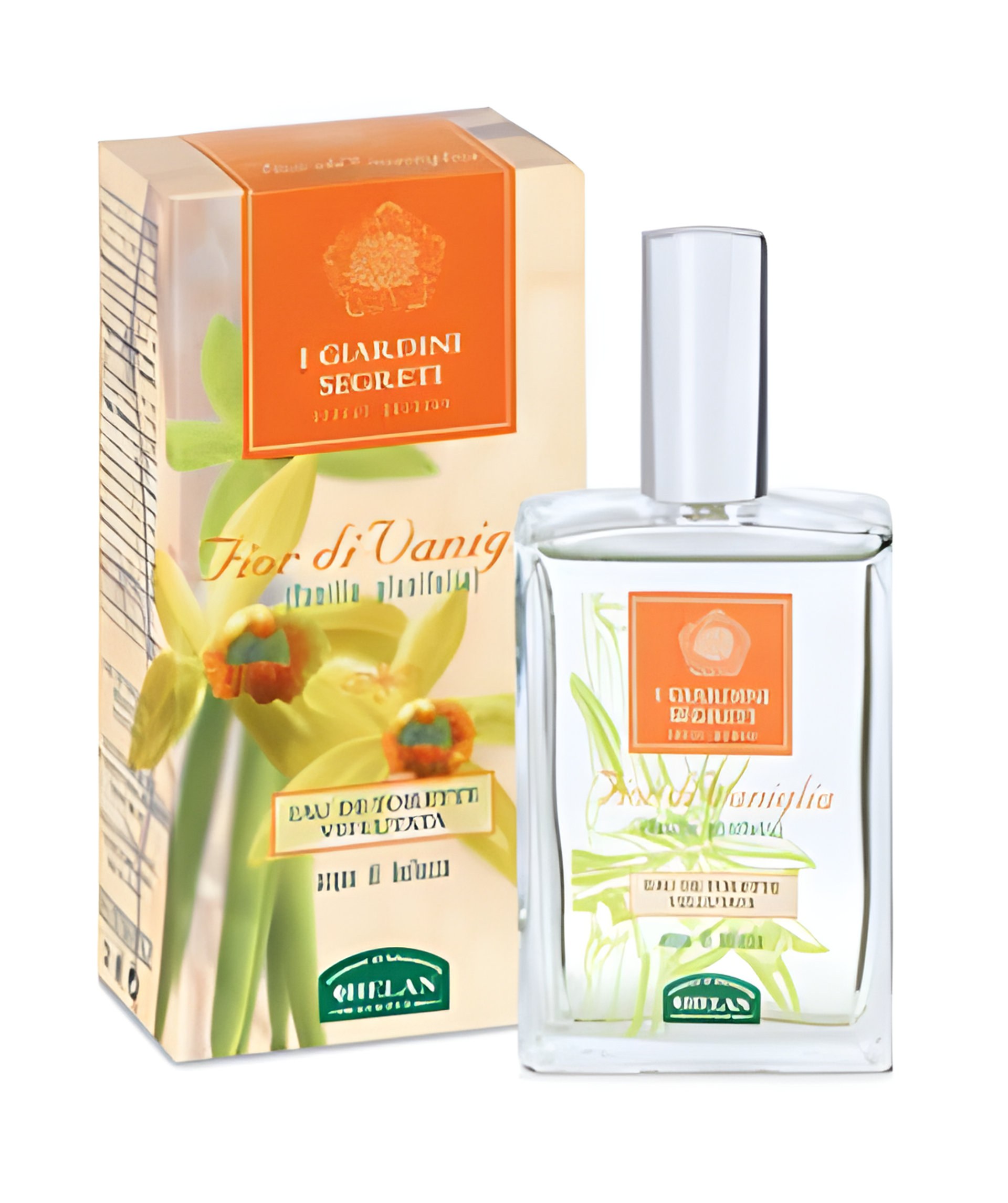 Picture of Fior Di Vaniglia fragrance