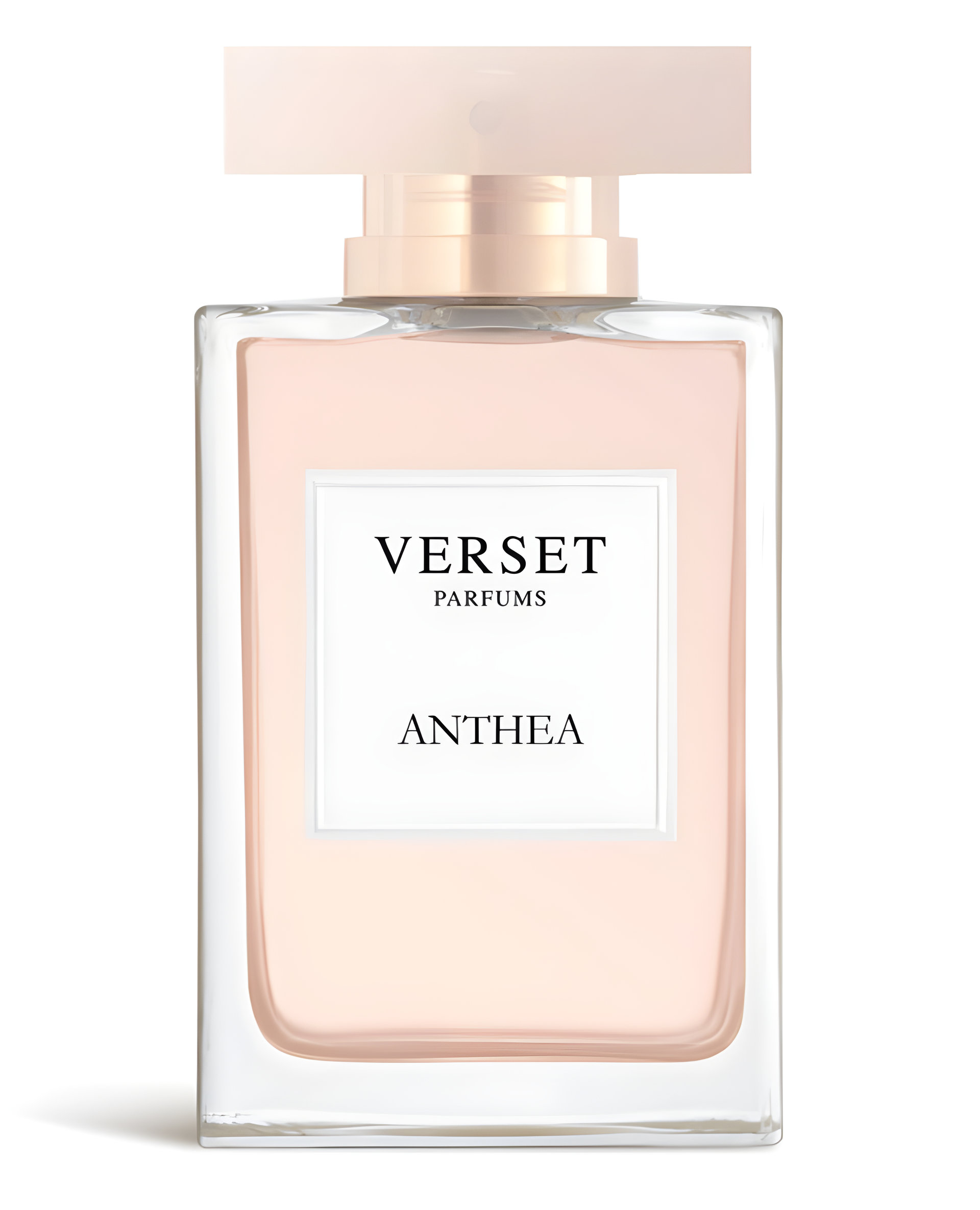 Picture of Anthea fragrance