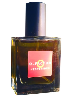 Hesperides by Olfactum perfume bottle