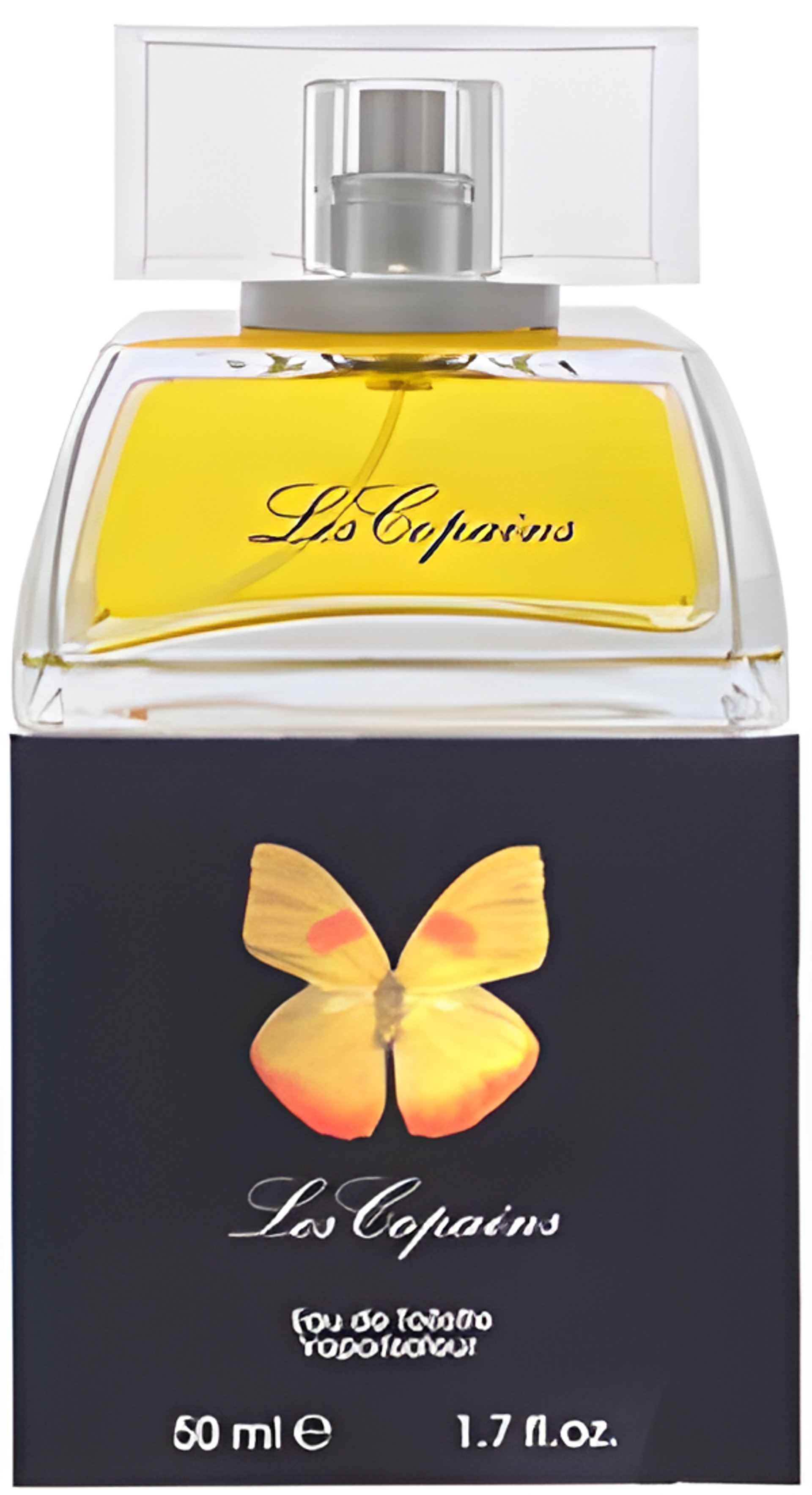 Picture of Papillon fragrance