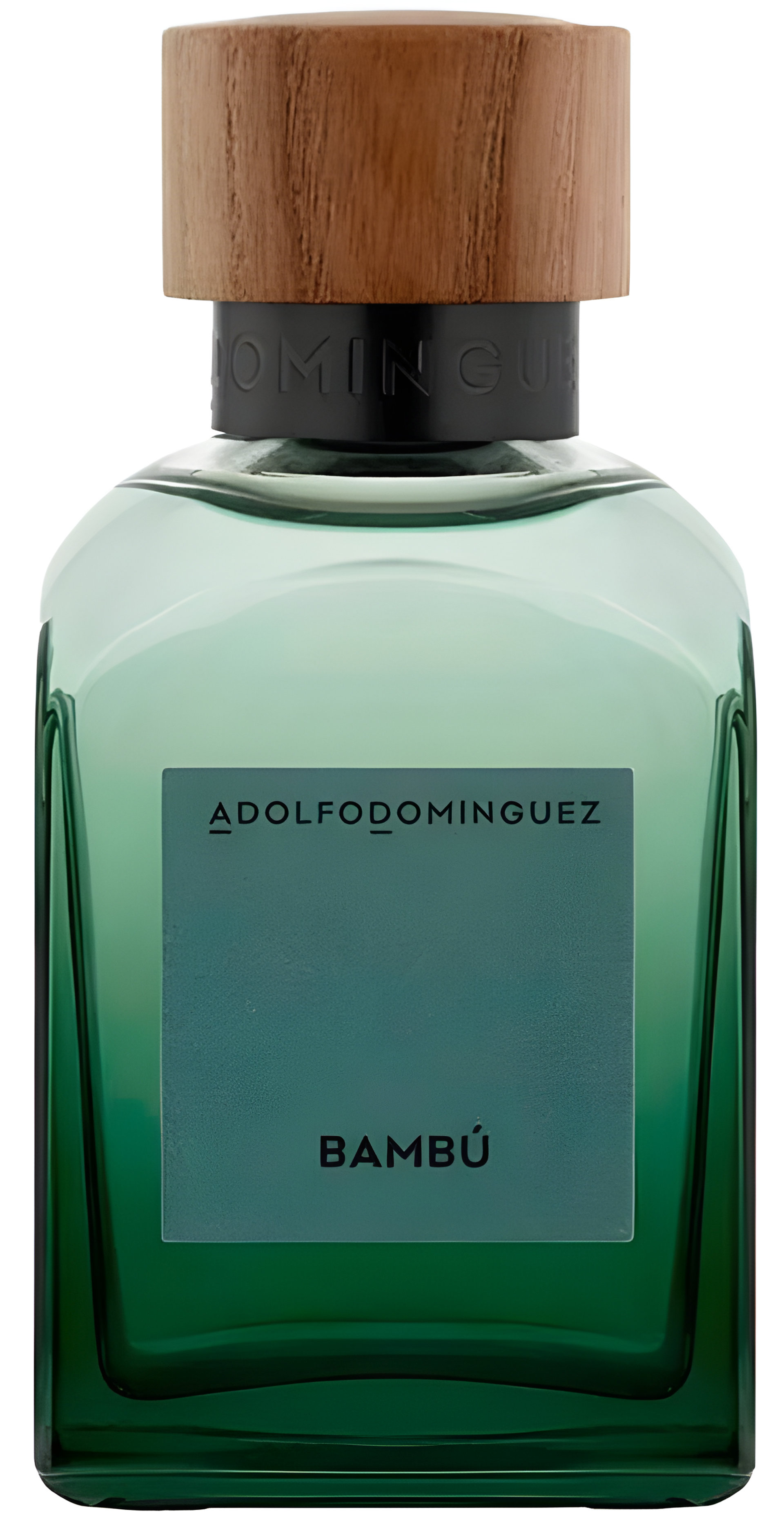 Picture of Bambú 2024 fragrance