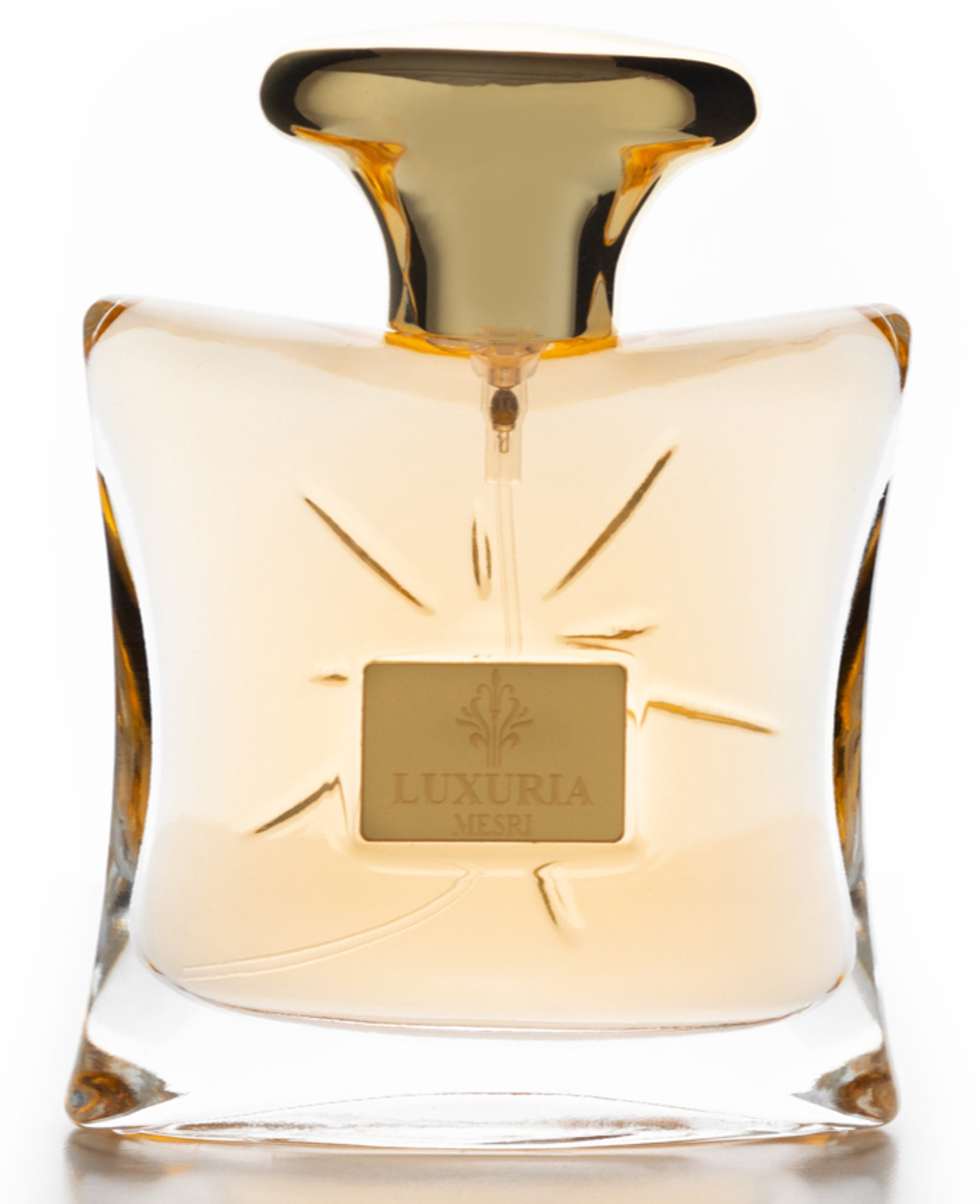 Picture of Luxuria fragrance