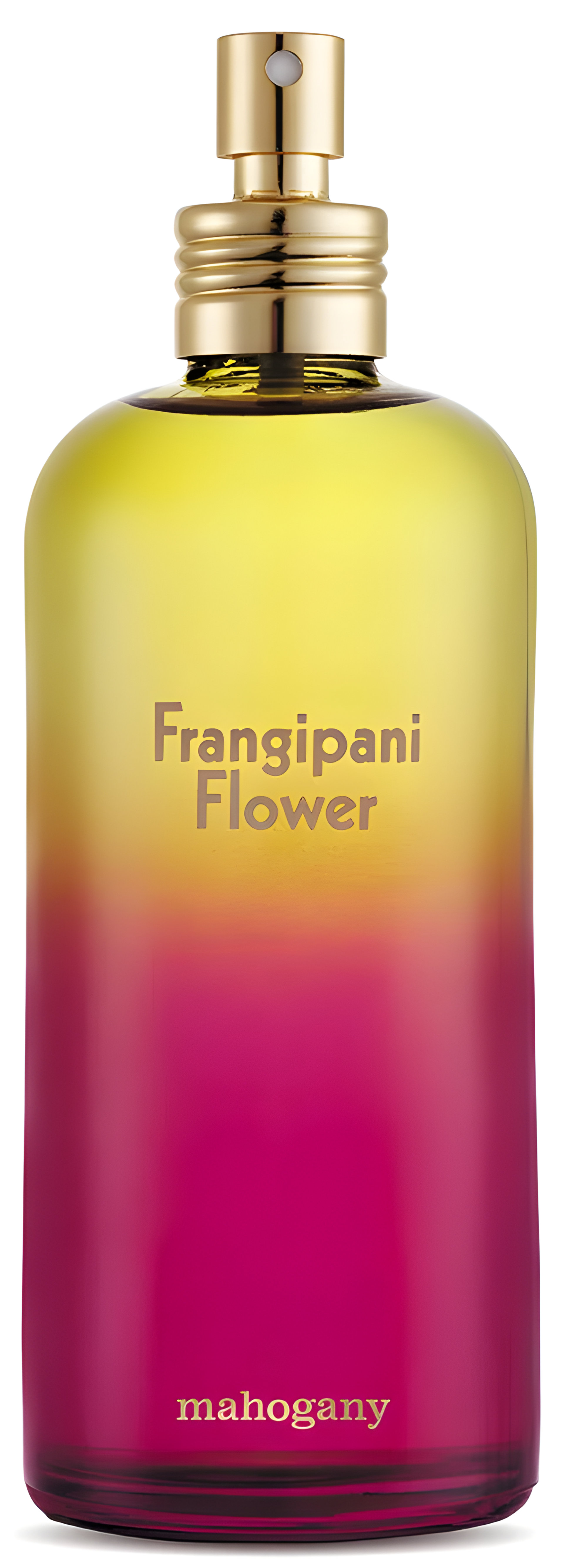 Picture of Frangipani Flower fragrance