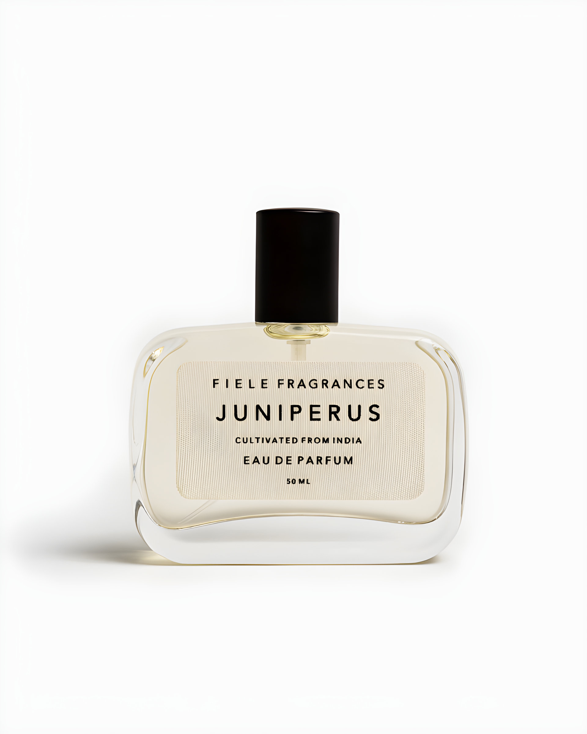 Picture of Juniperus fragrance
