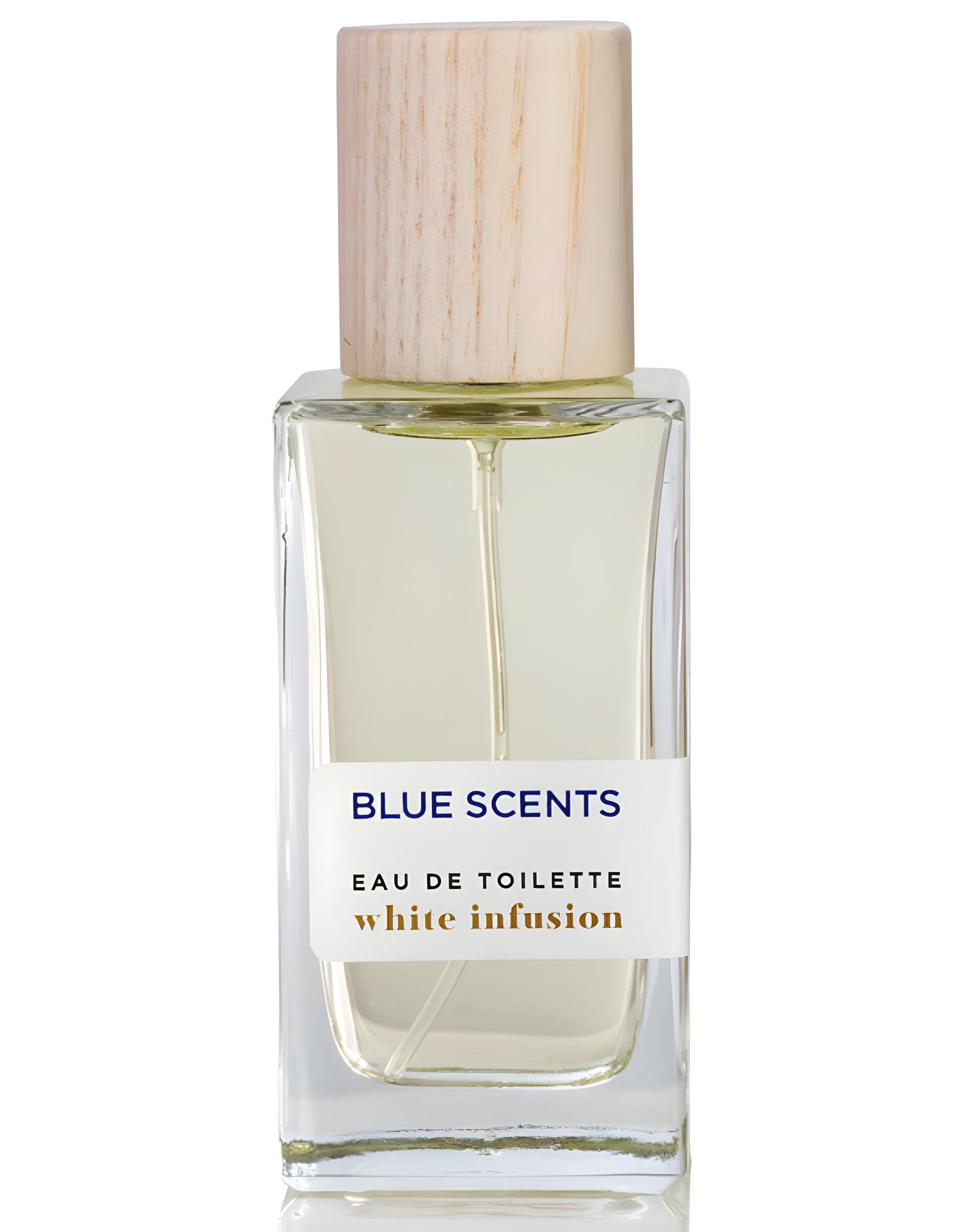 Picture of White Infusion fragrance