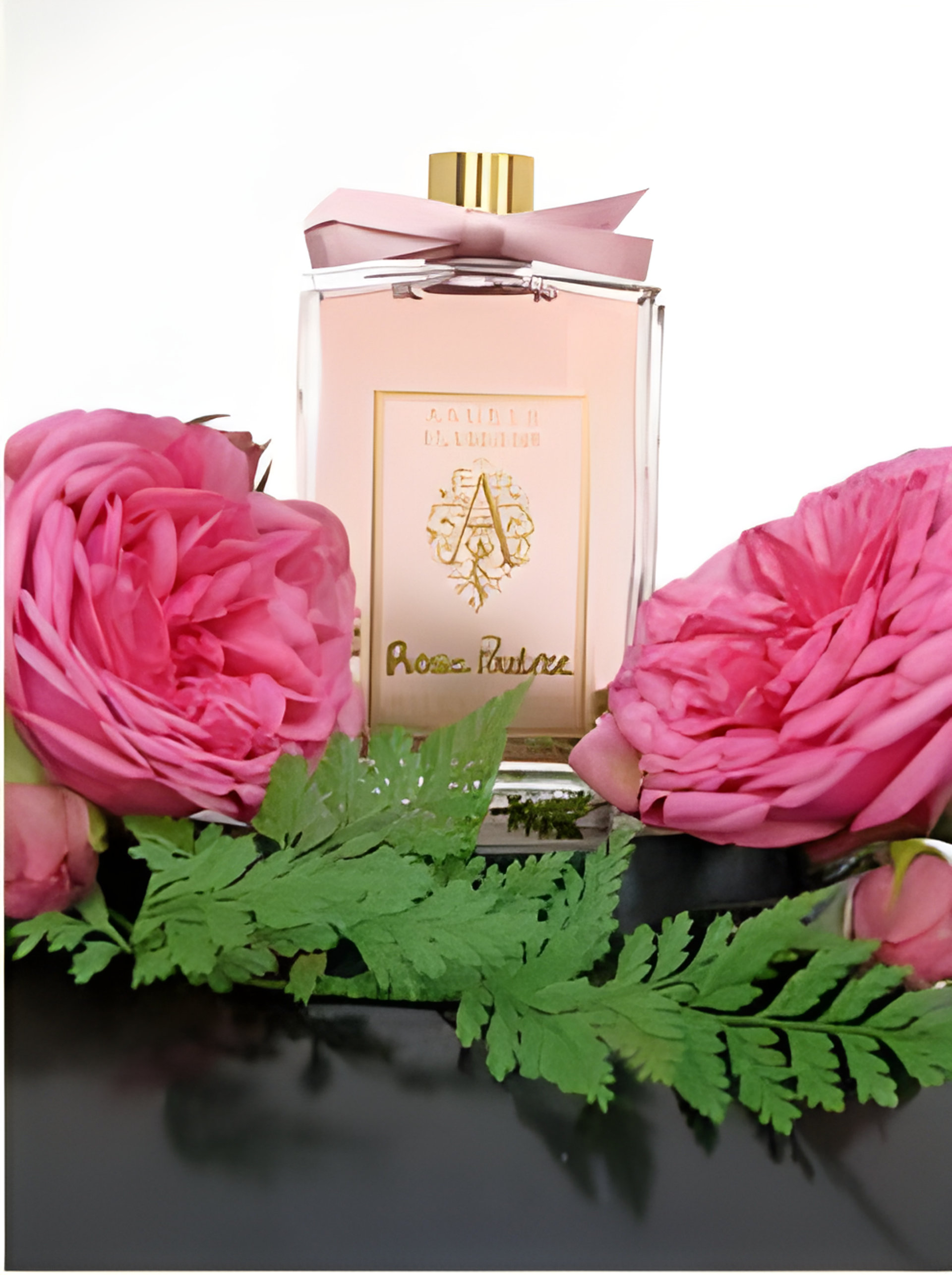 Picture of Rose Poudree fragrance