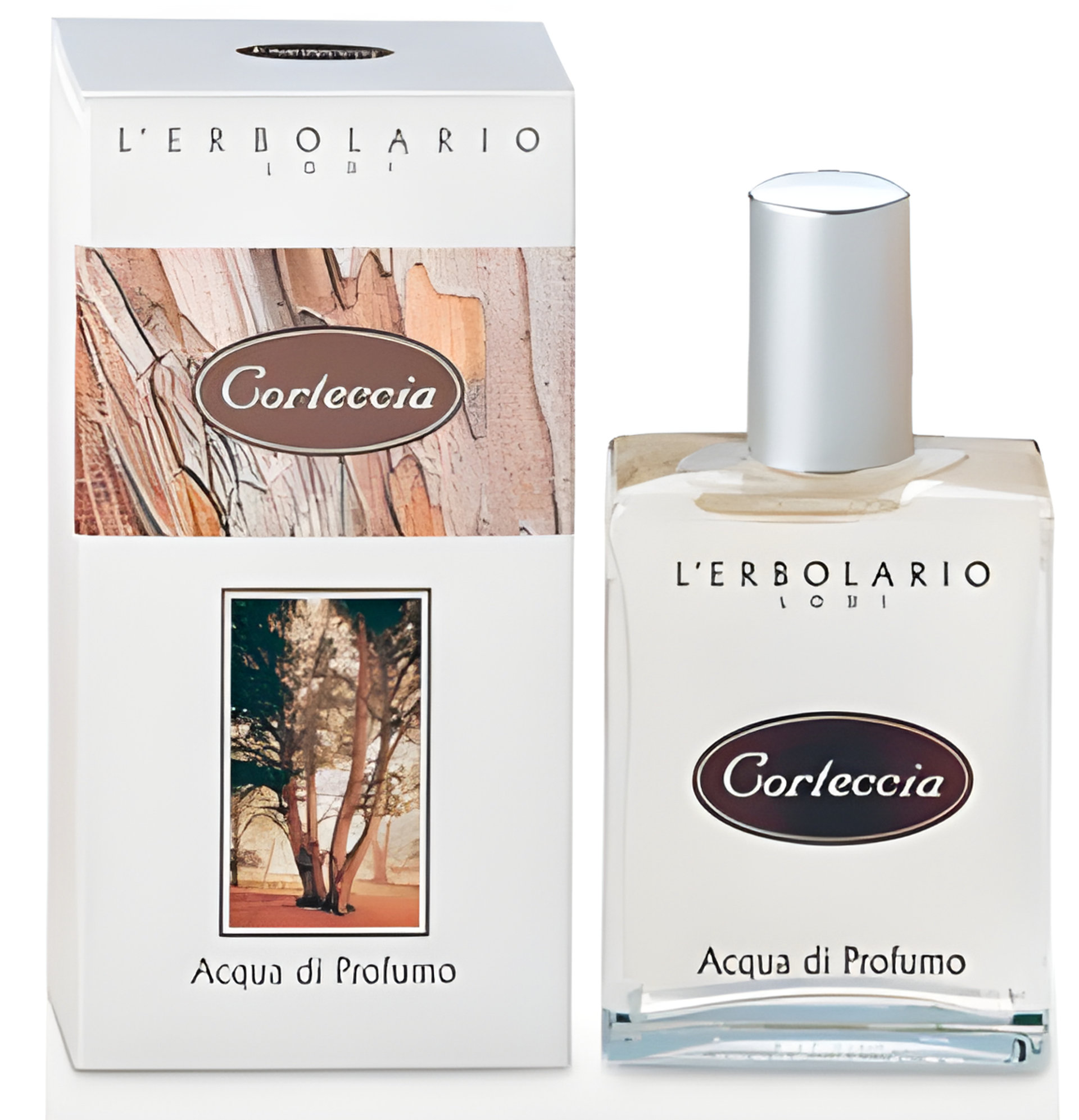 Picture of Corteccia (Bark) fragrance