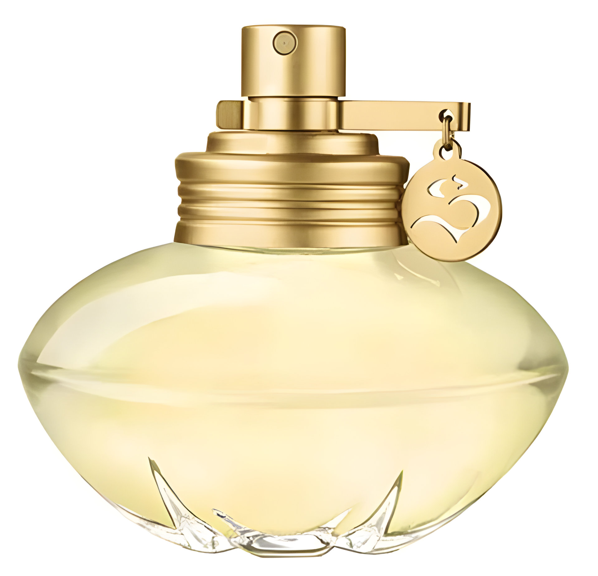 Picture of S fragrance