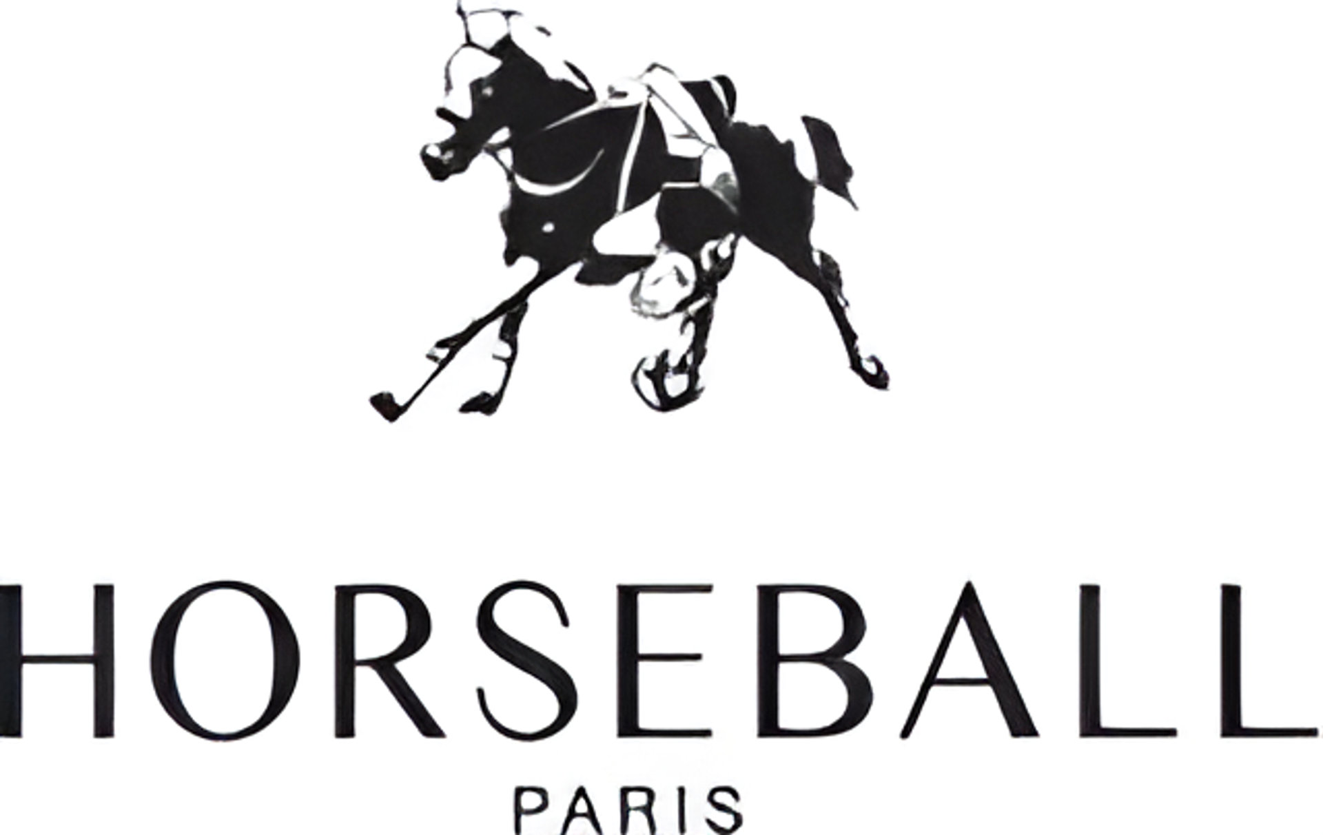 Picture of Horseball brand