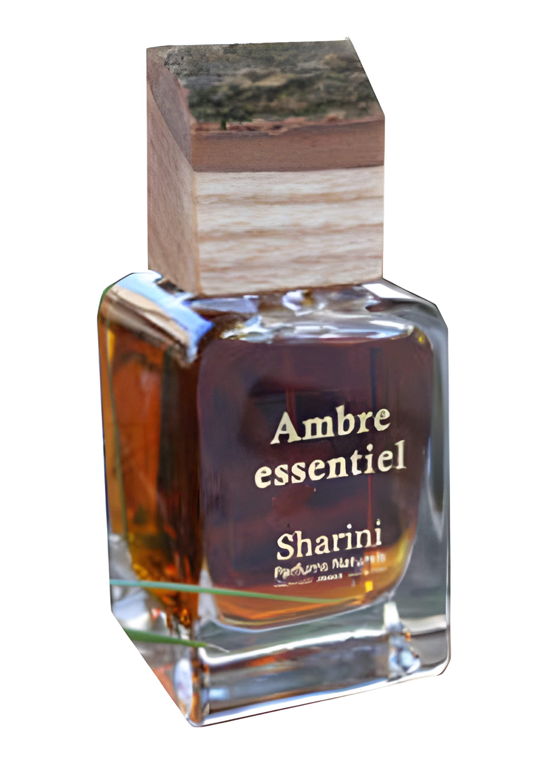 Picture of Ambre Essentiel fragrance