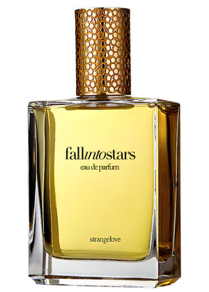 Picture of Fall Into Stars fragrance