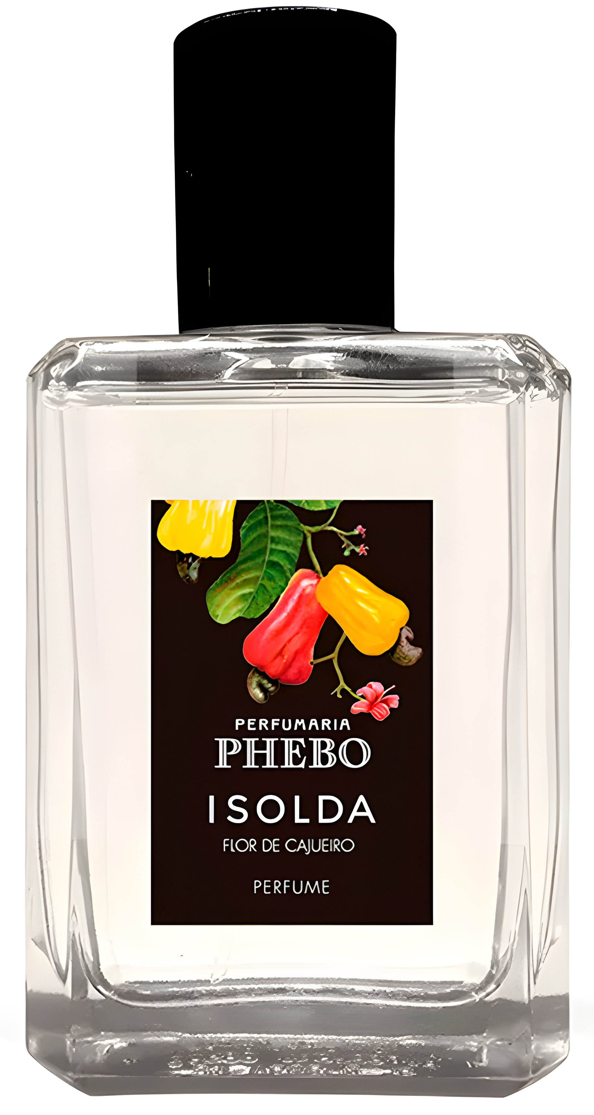 Picture of Isolda Flor de Cajueiro fragrance