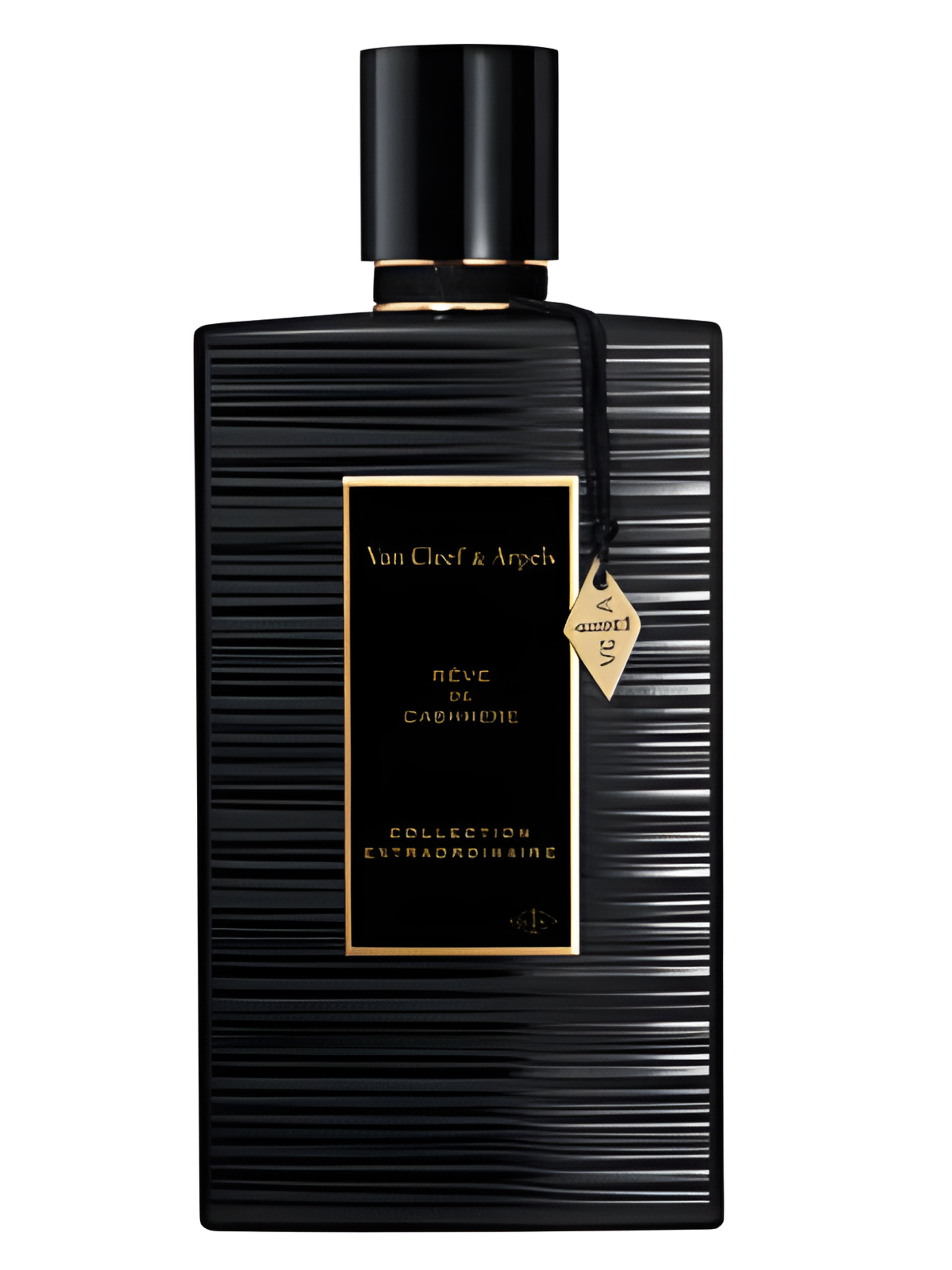 Picture of Rêve de Cashmere fragrance