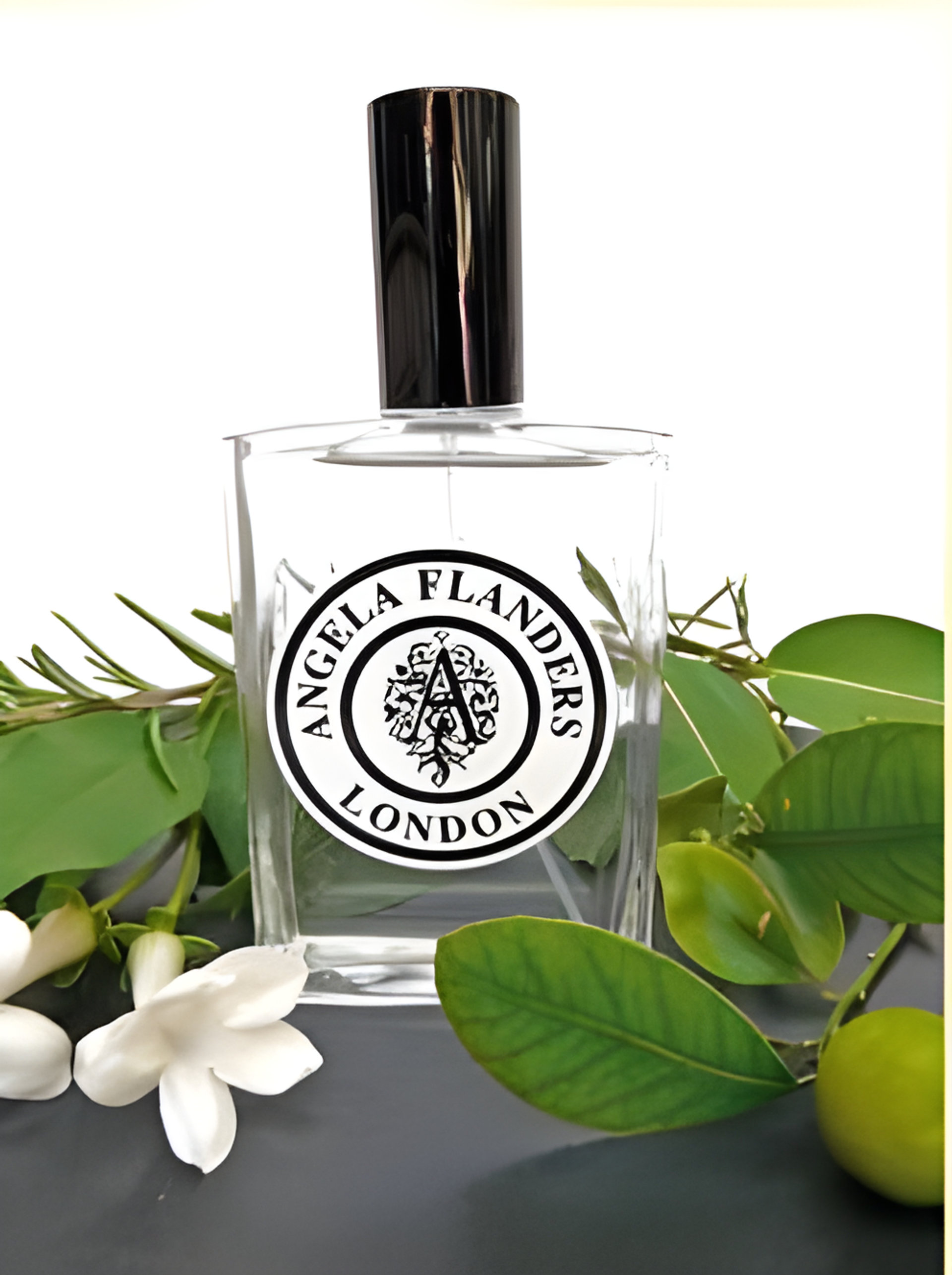 No.1 Le Premier by Angela Flanders