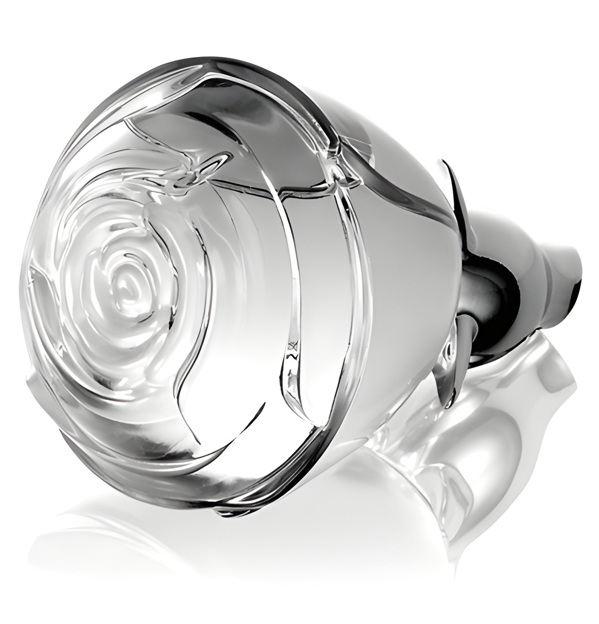 Picture of Volare Forever fragrance