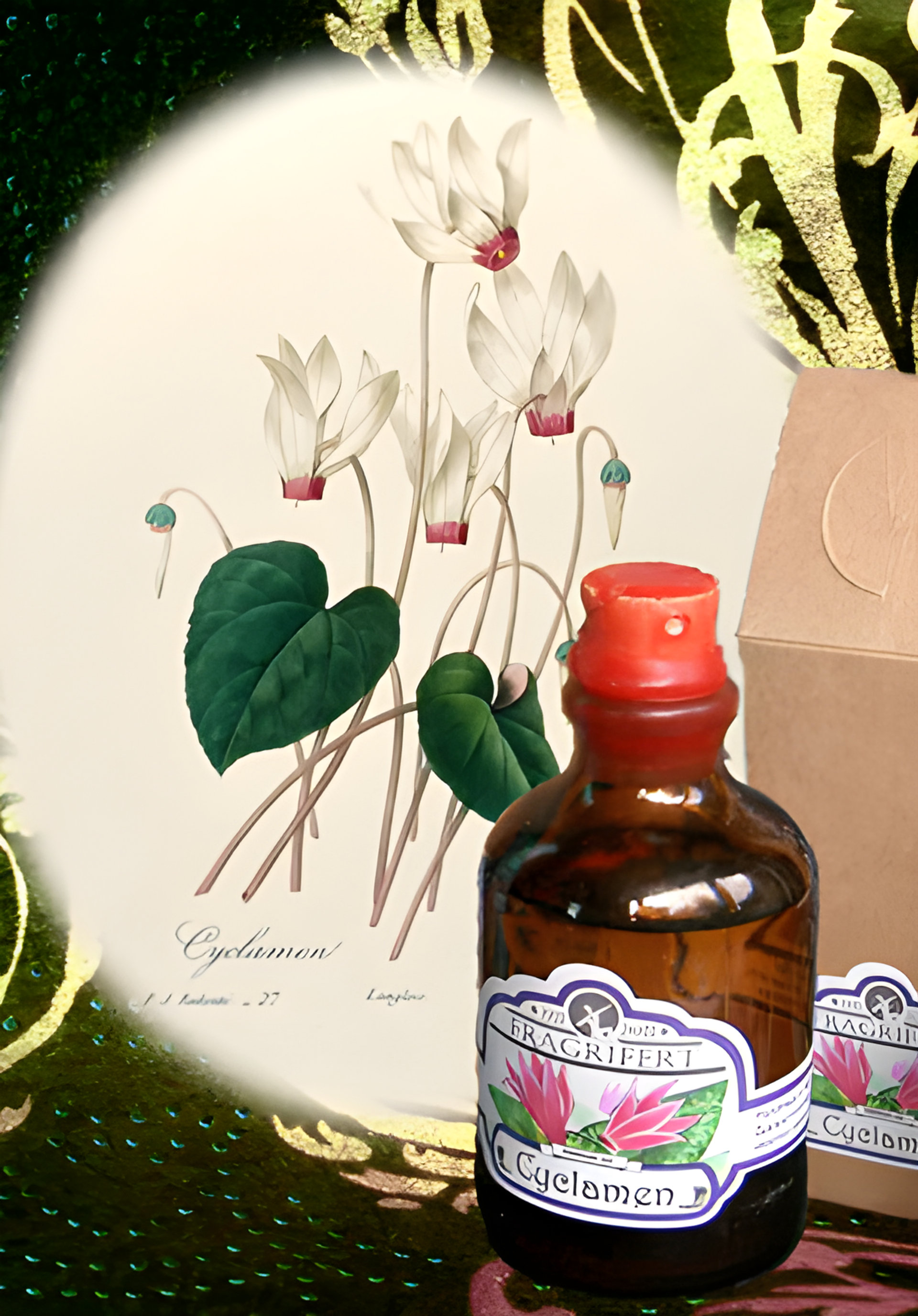 Picture of Cyclamen fragrance