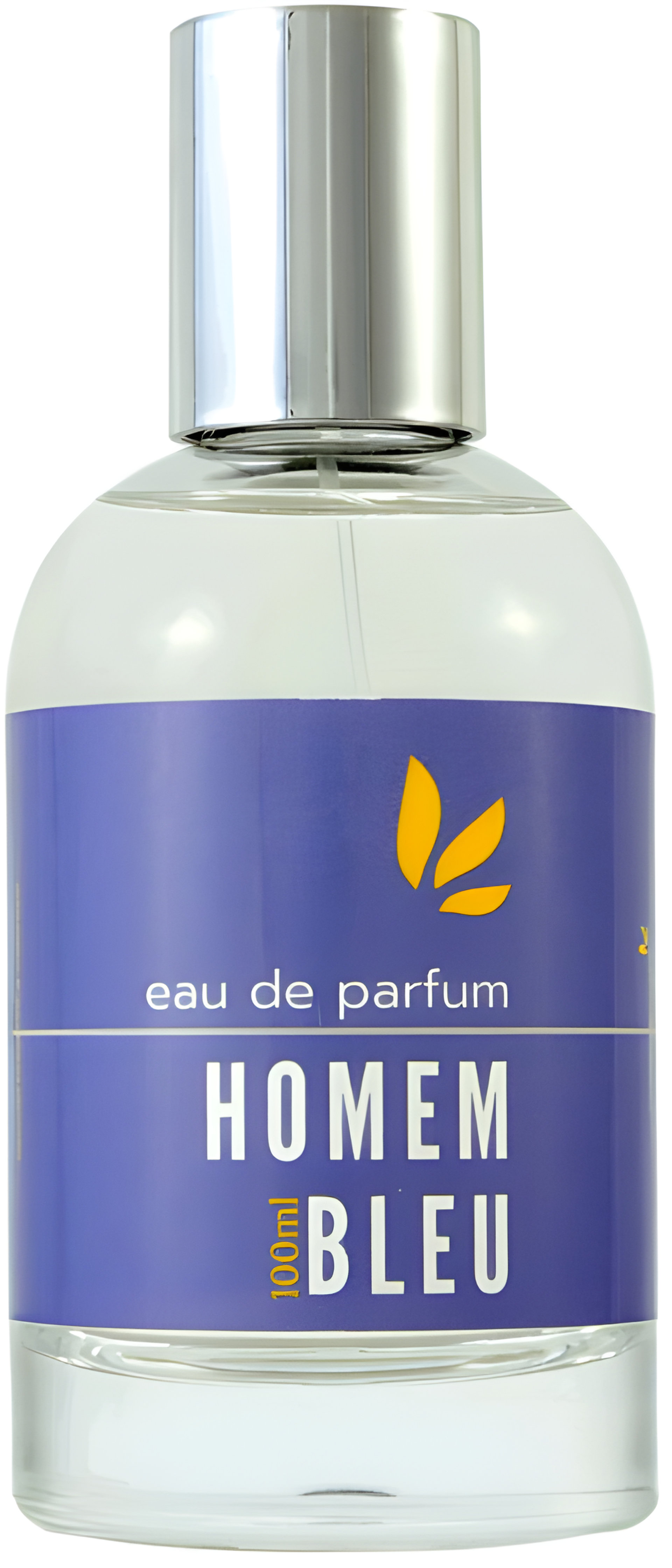 Picture of Homem Bleu fragrance