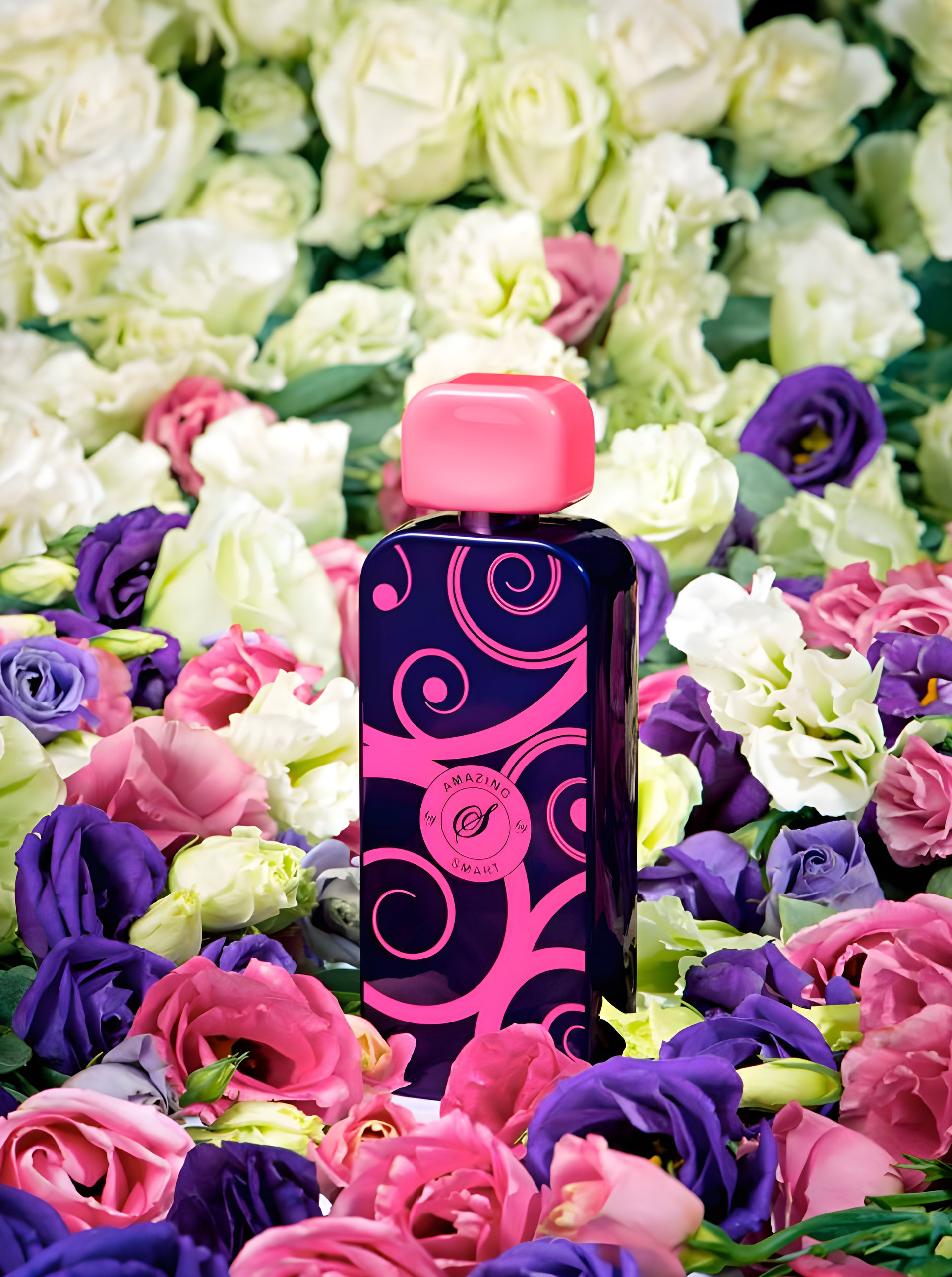 Picture of Smart Amazing fragrance