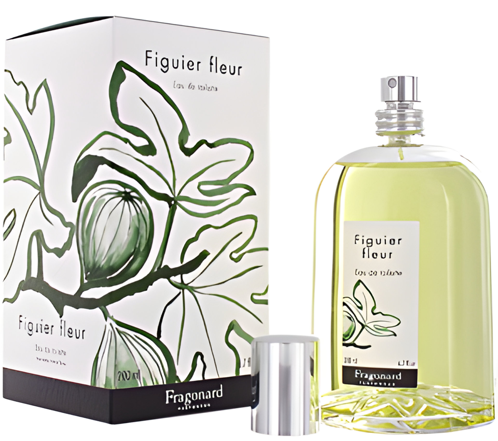 Picture of Les Naturelles: Figuier Fleur fragrance
