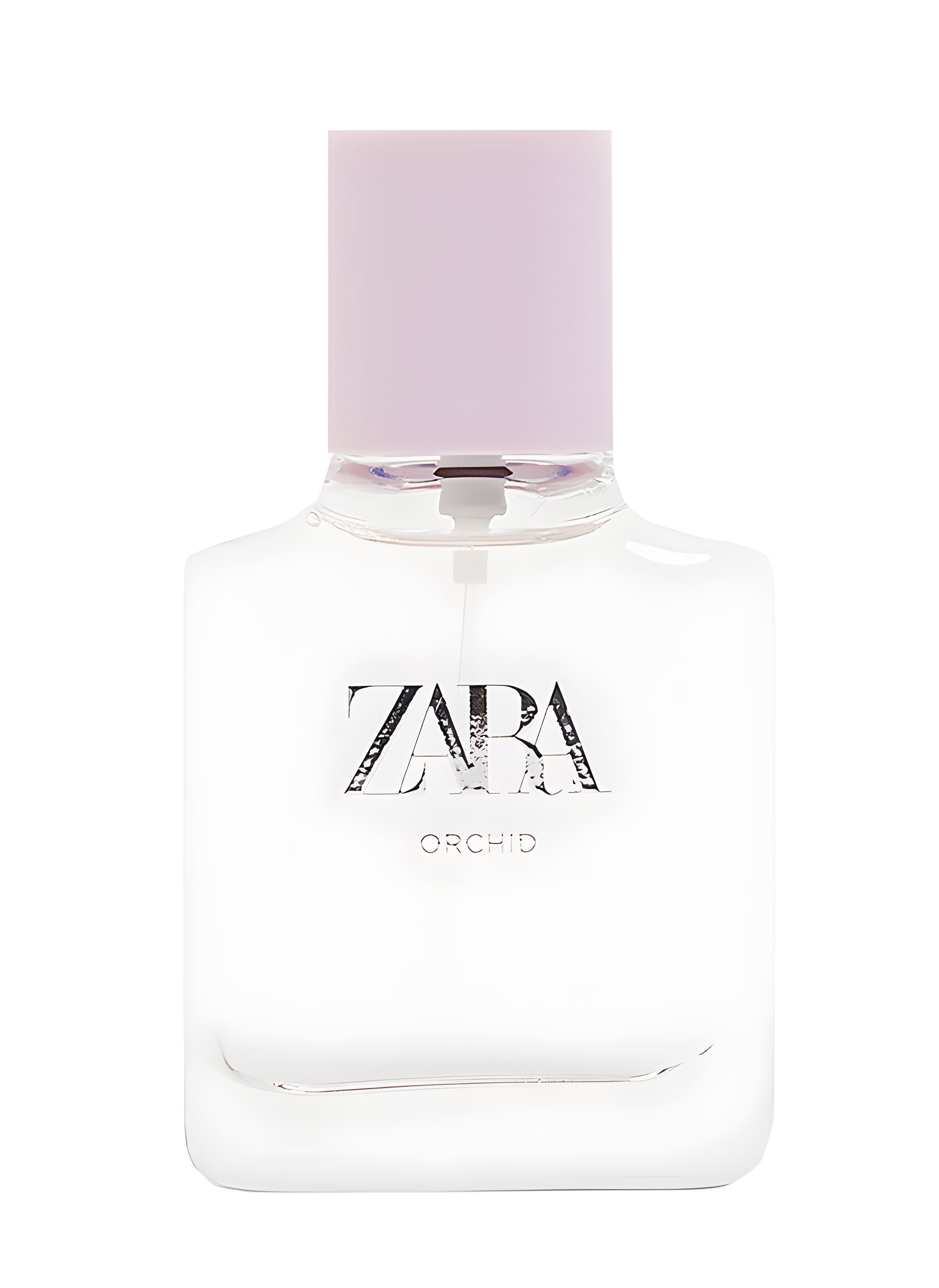 Picture of Orchid 2019 fragrance