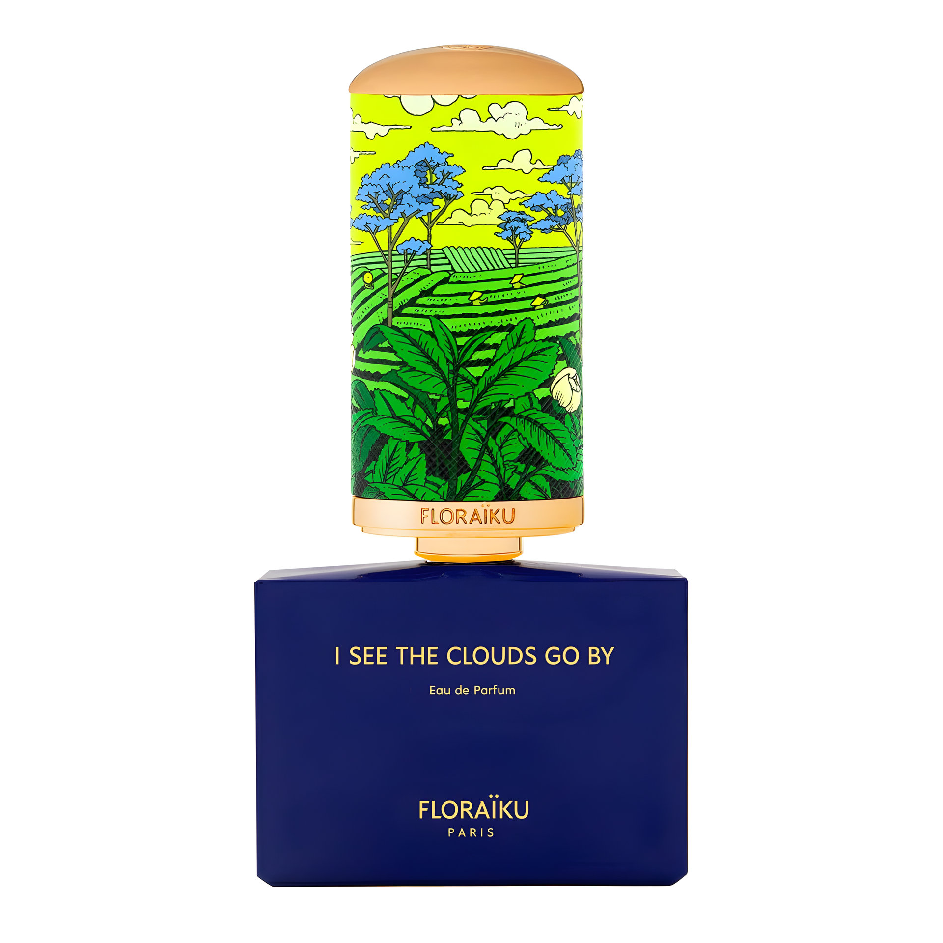 Picture of I See the Clouds Go by fragrance