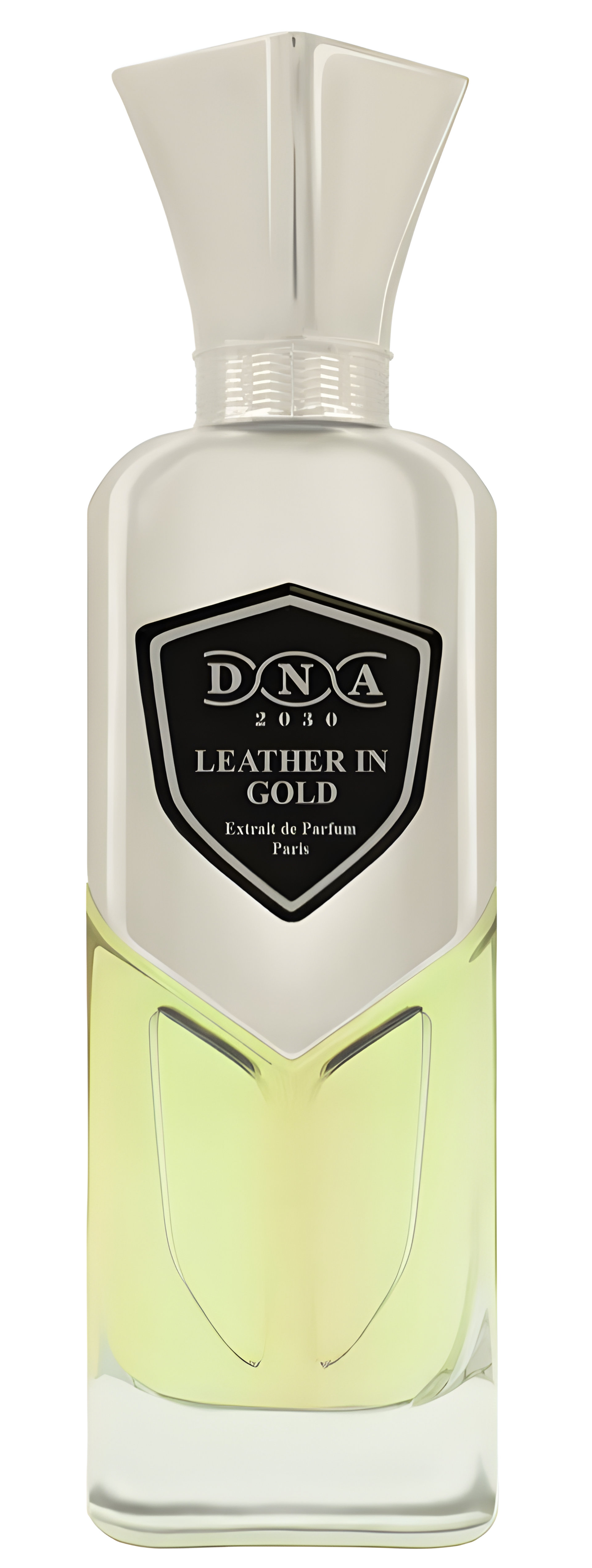 Picture of Leather in Gold fragrance