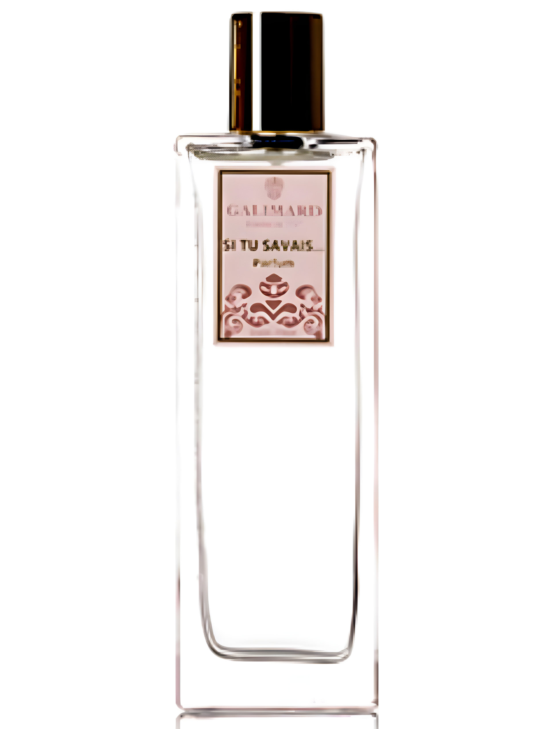 Picture of Si Tu Savais... fragrance