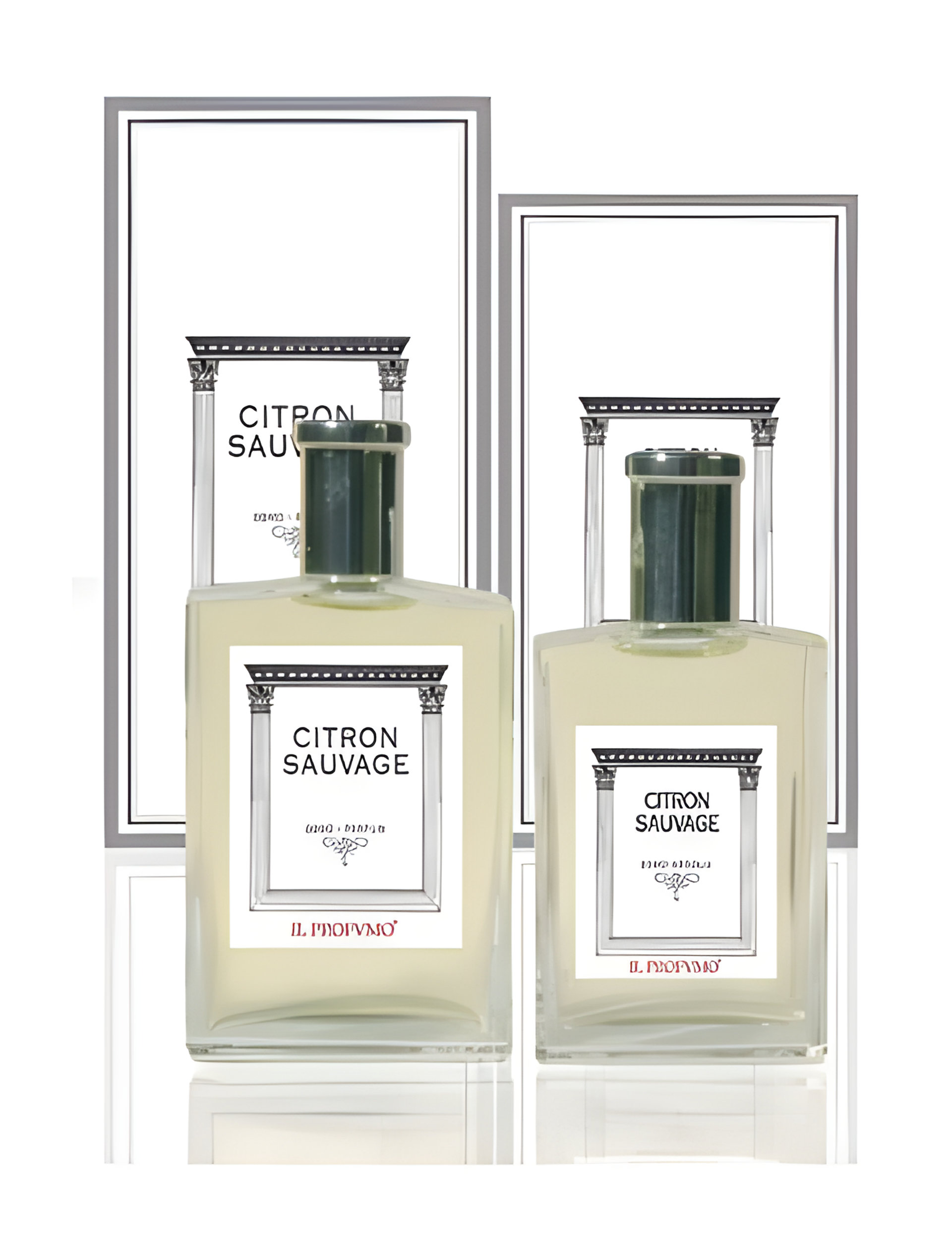 Picture of Osmo Scents Citron Sauvage fragrance