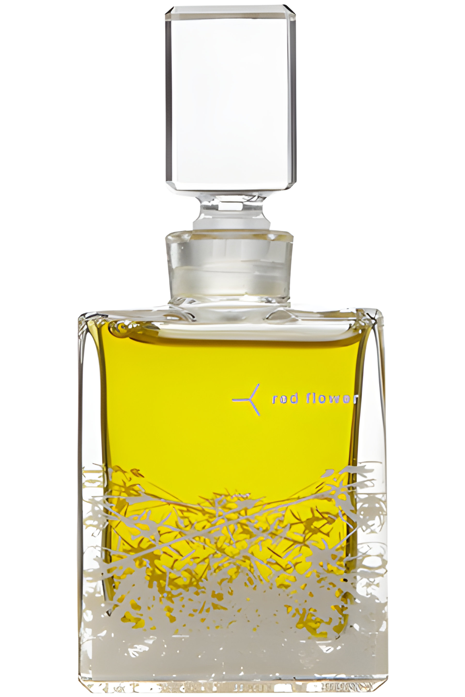 Picture of Champa fragrance