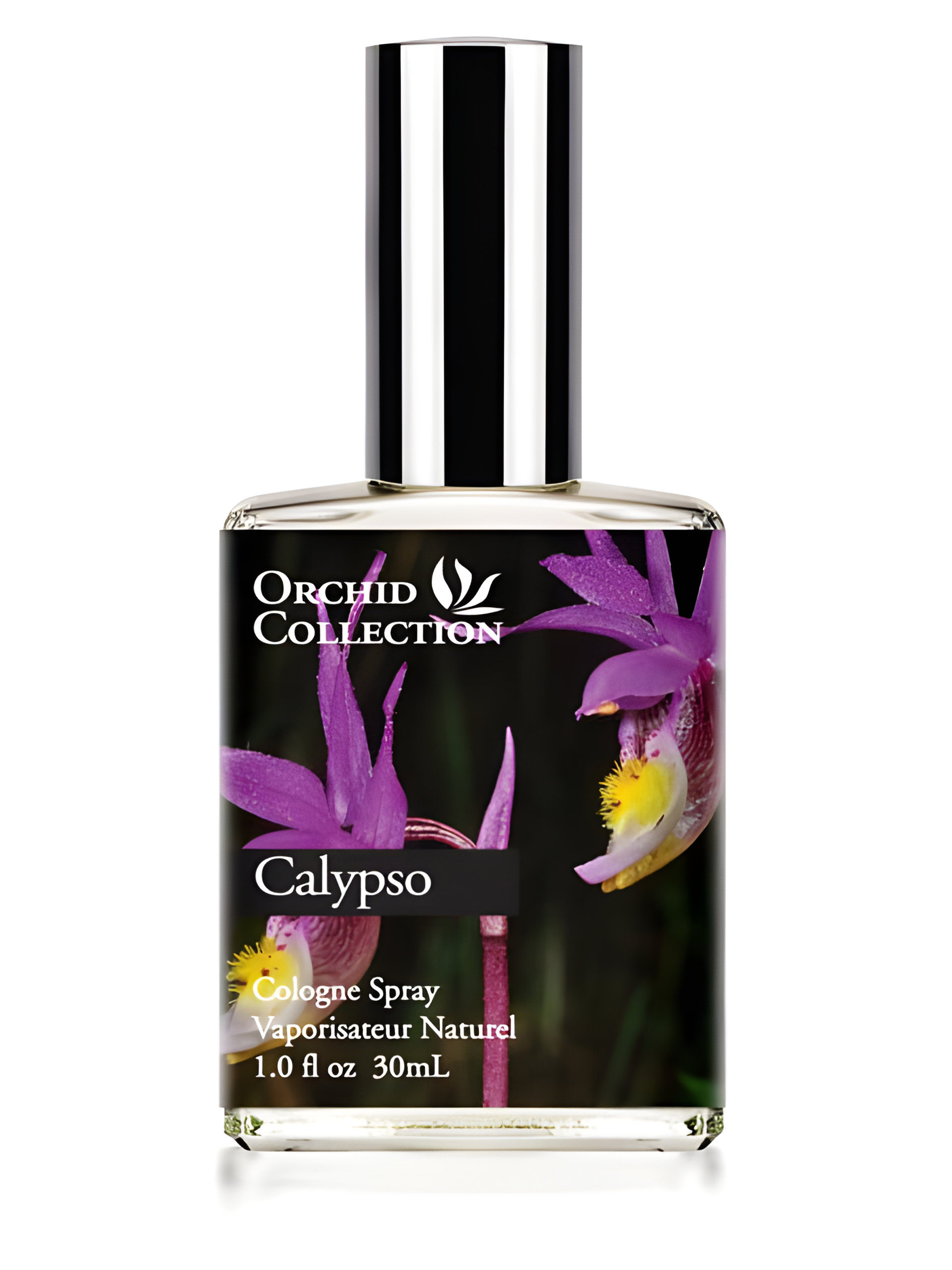 Picture of Calypso Orchid fragrance