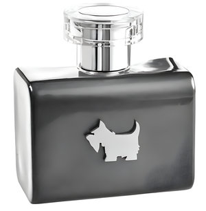 Terrier Grey by Ferrioni perfume bottle