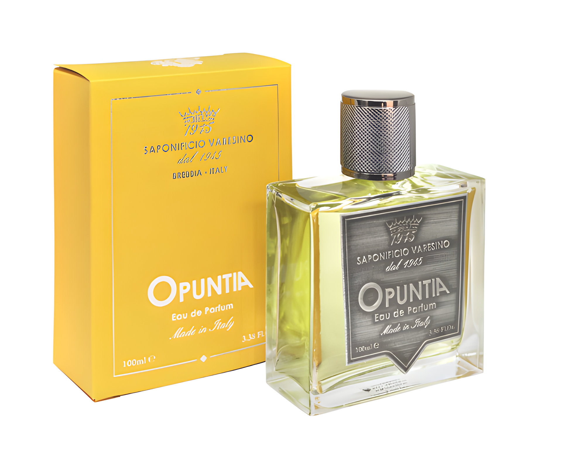 Picture of Opuntia fragrance