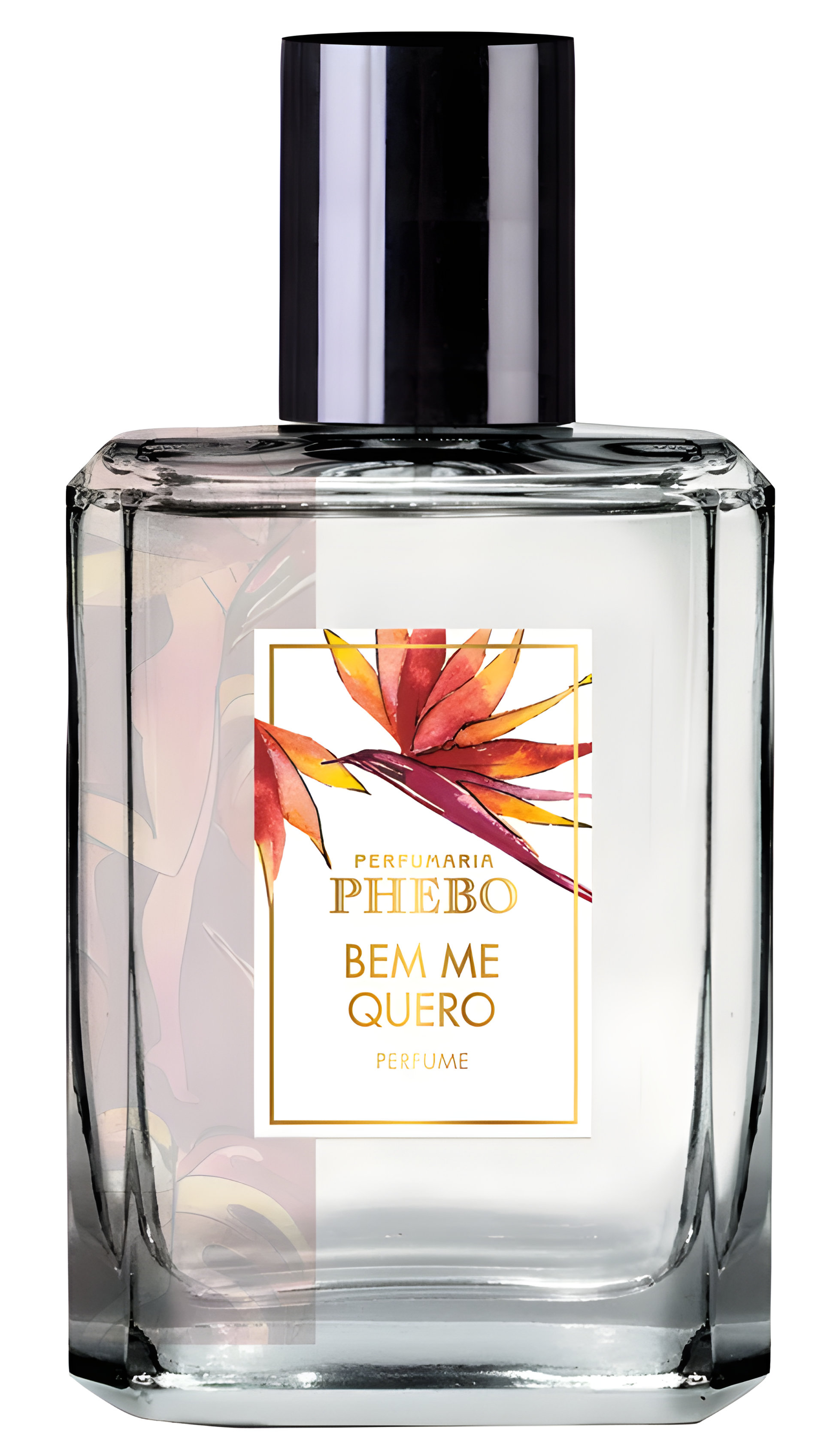 Picture of Bem Me Quero fragrance