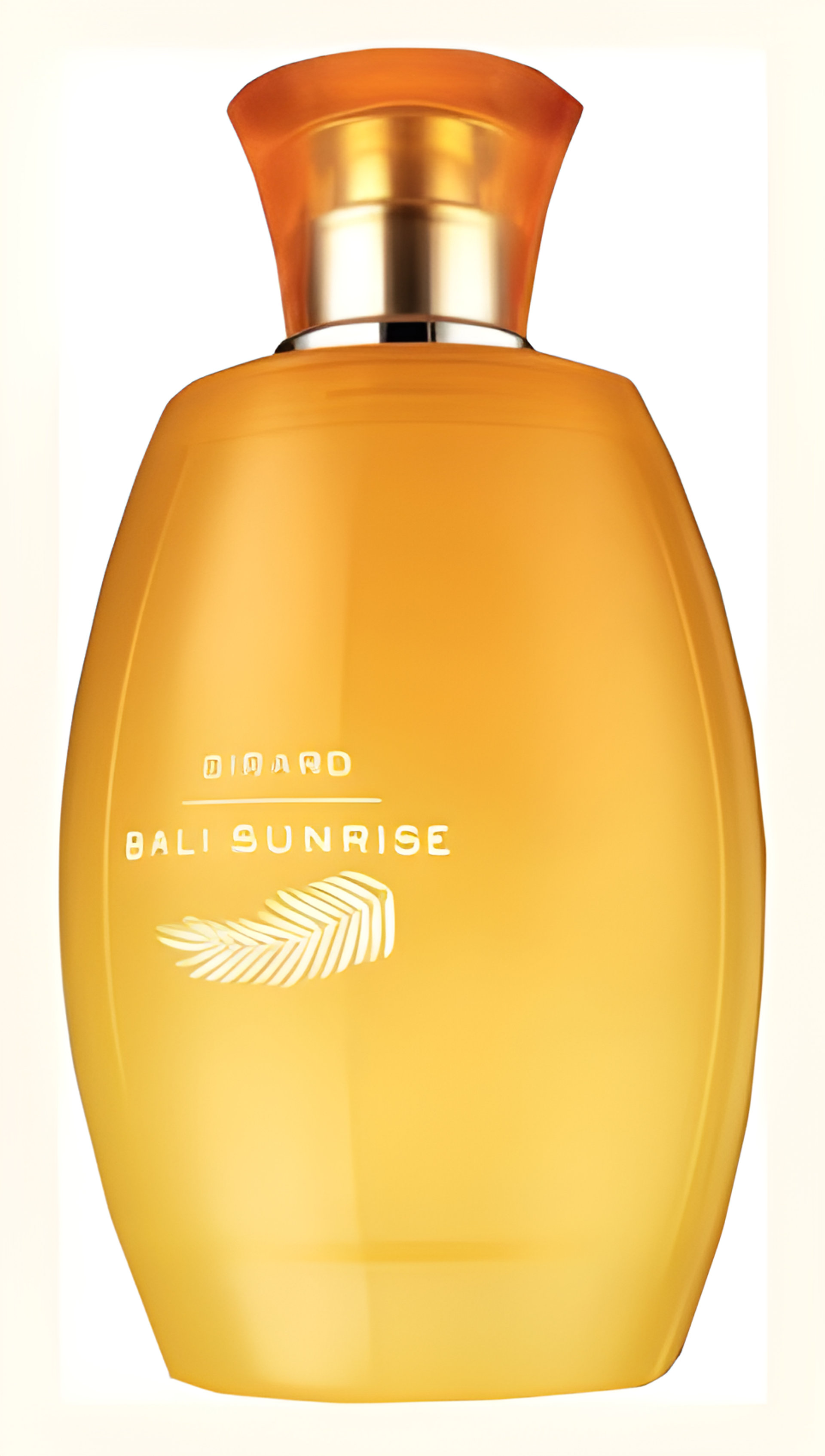 Picture of Bali Sunrise fragrance
