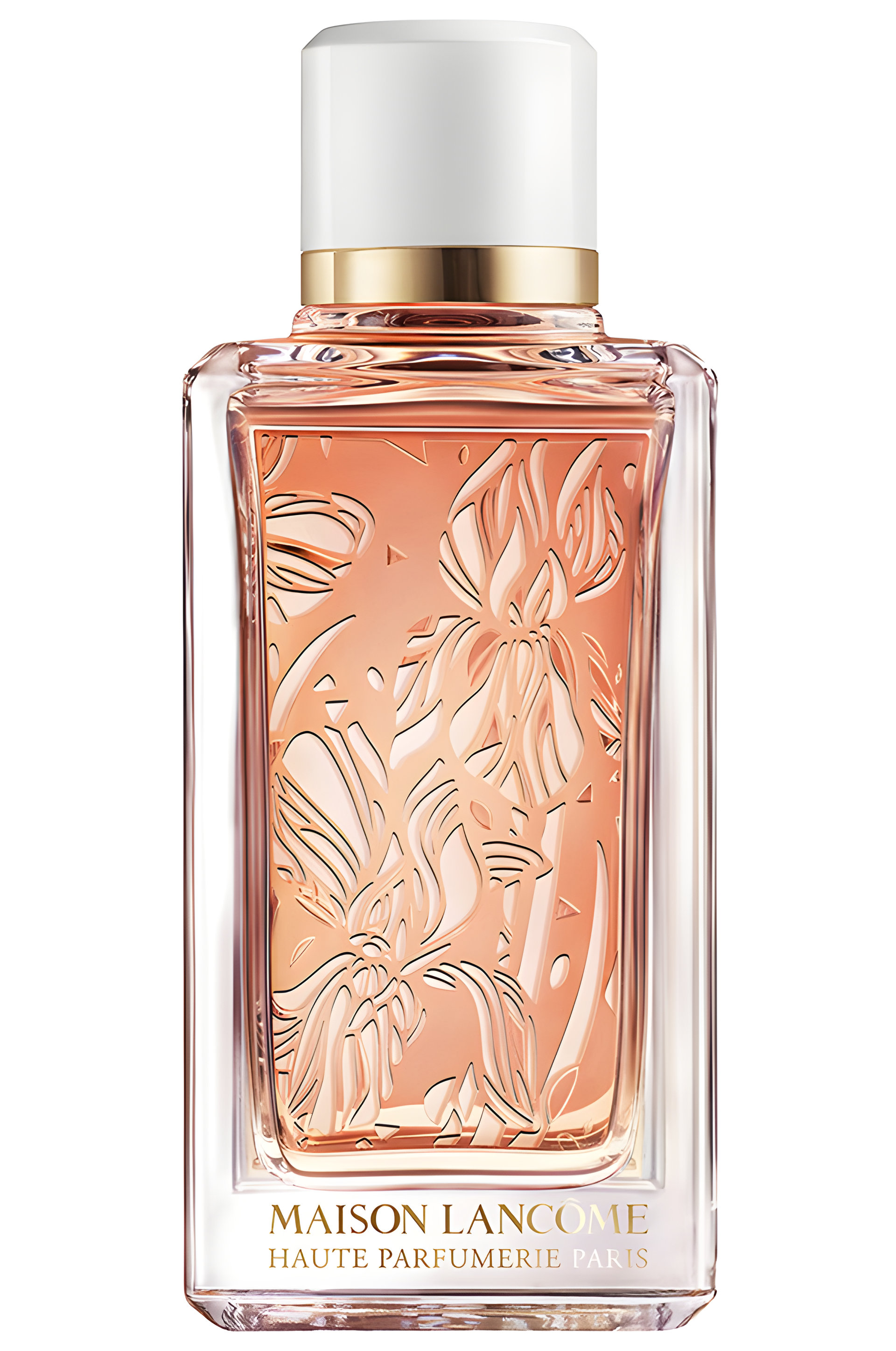 Picture of Iris Dragées fragrance