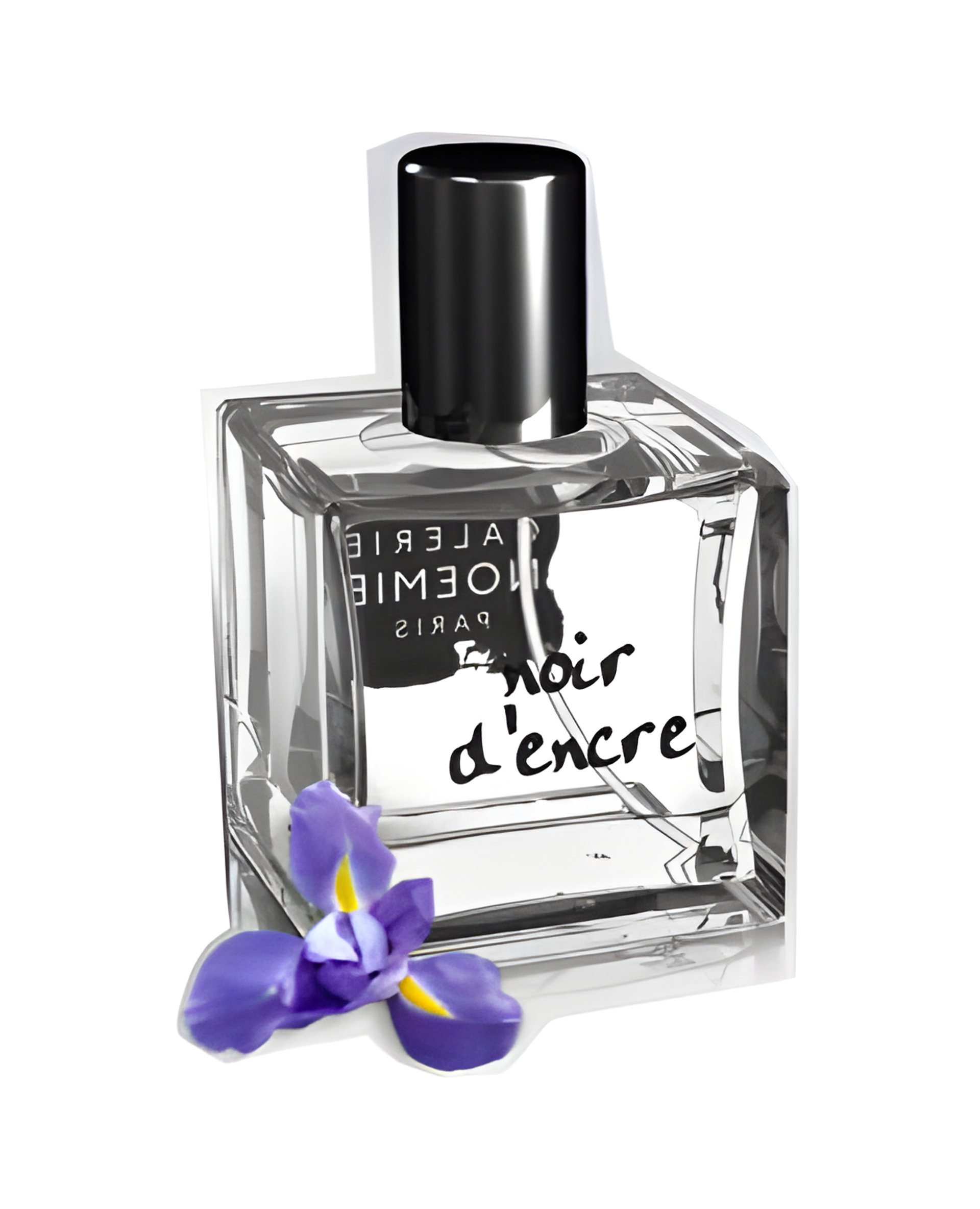 Picture of Noir d'Encre fragrance