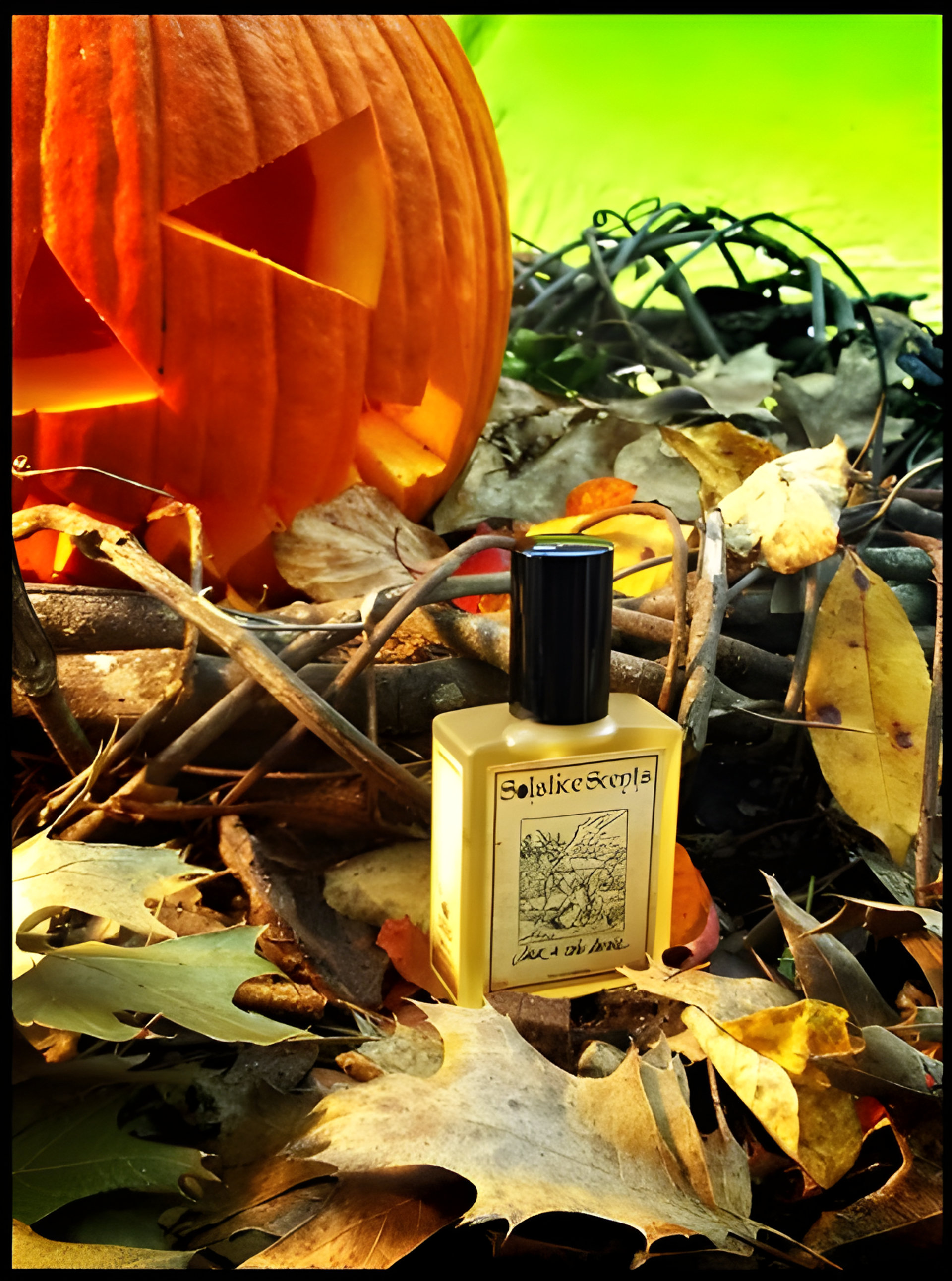 Picture of Jack and the Devil fragrance